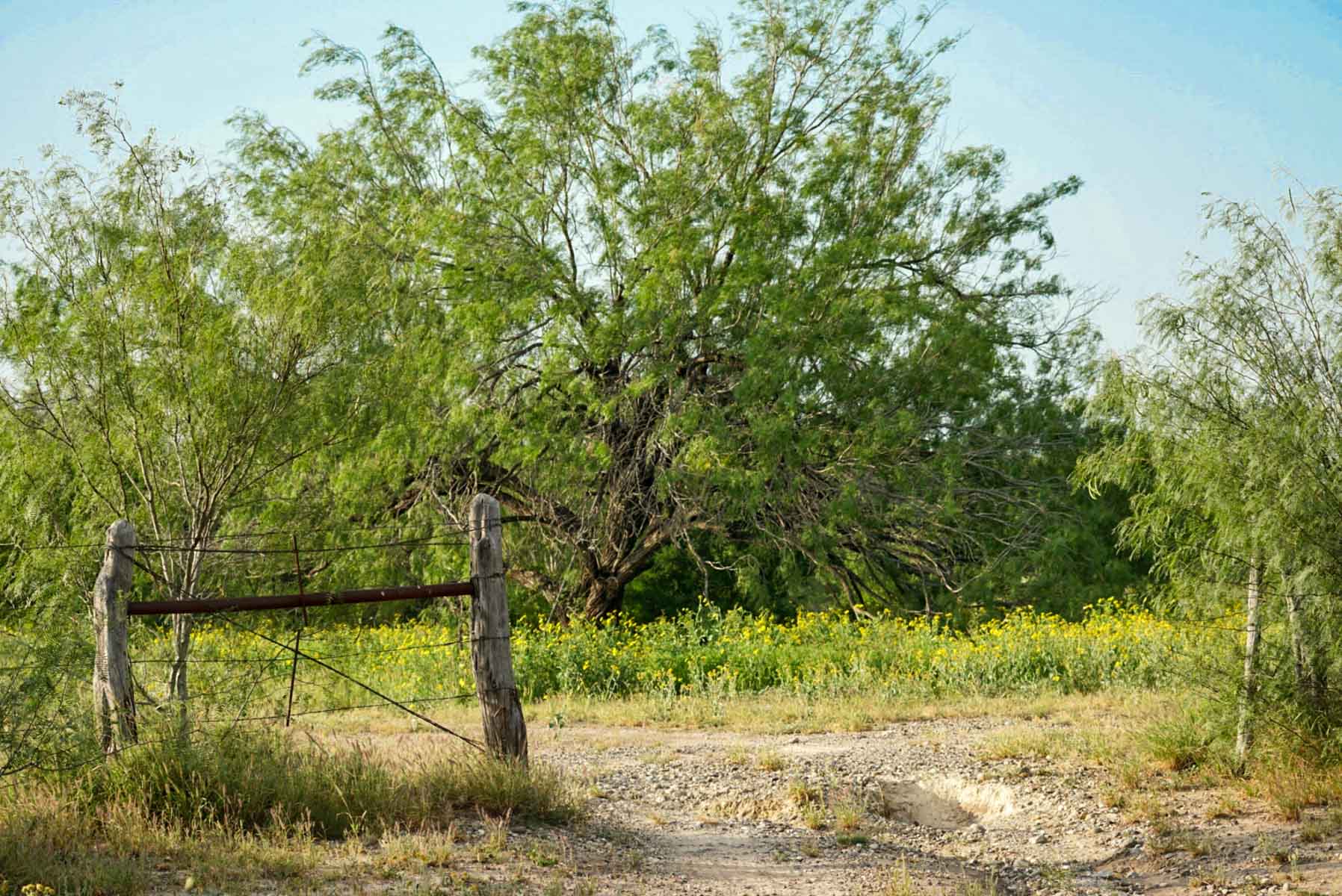 Mi Cancion Ranch property picture 30 of 49