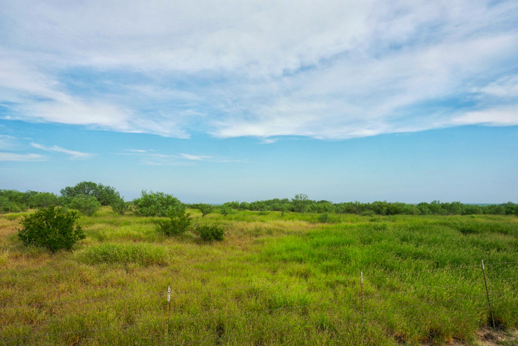 Mi Cancion Ranch property picture 35 of 49