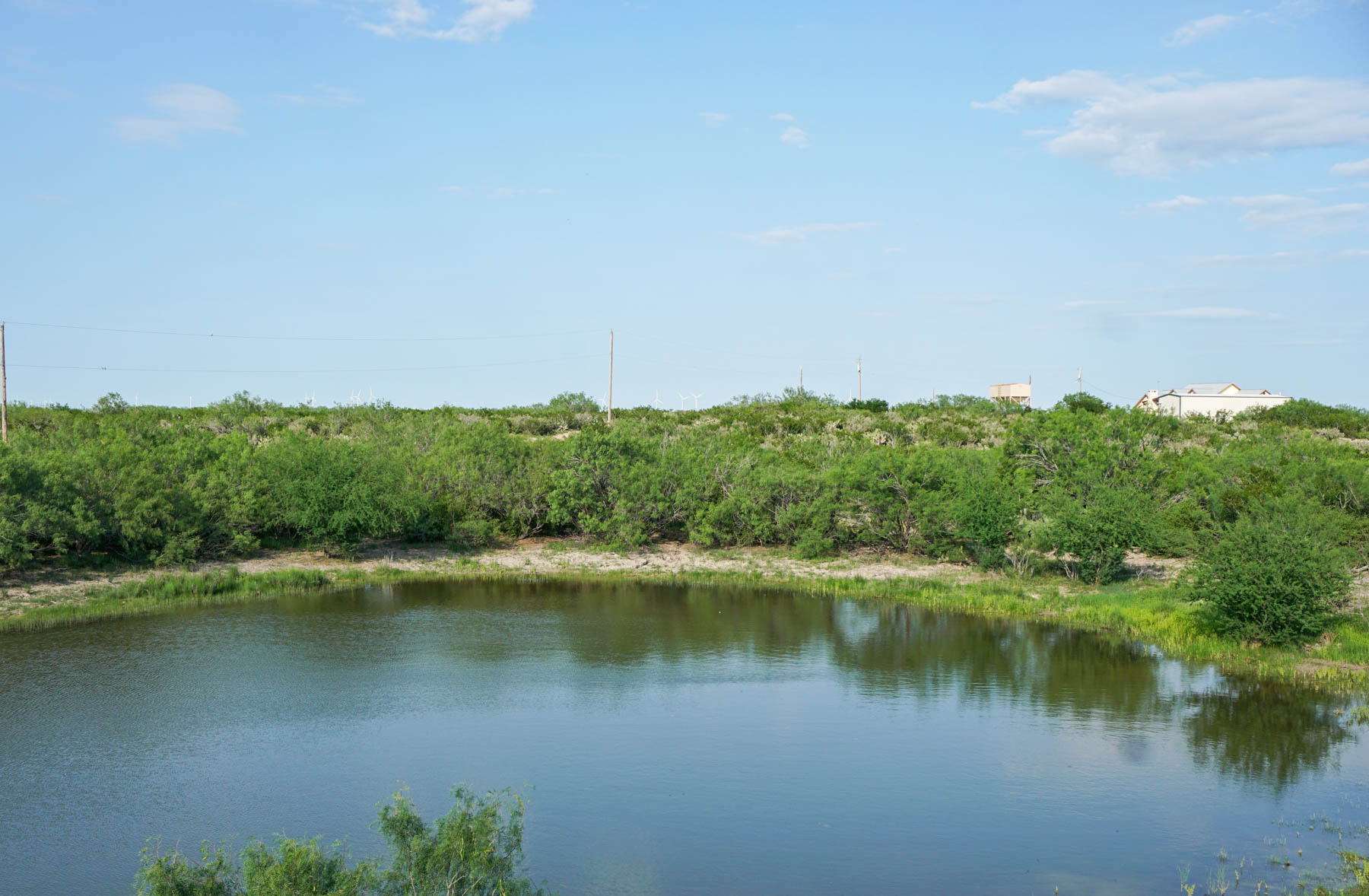 Mi Cancion Ranch property picture 4 of 49