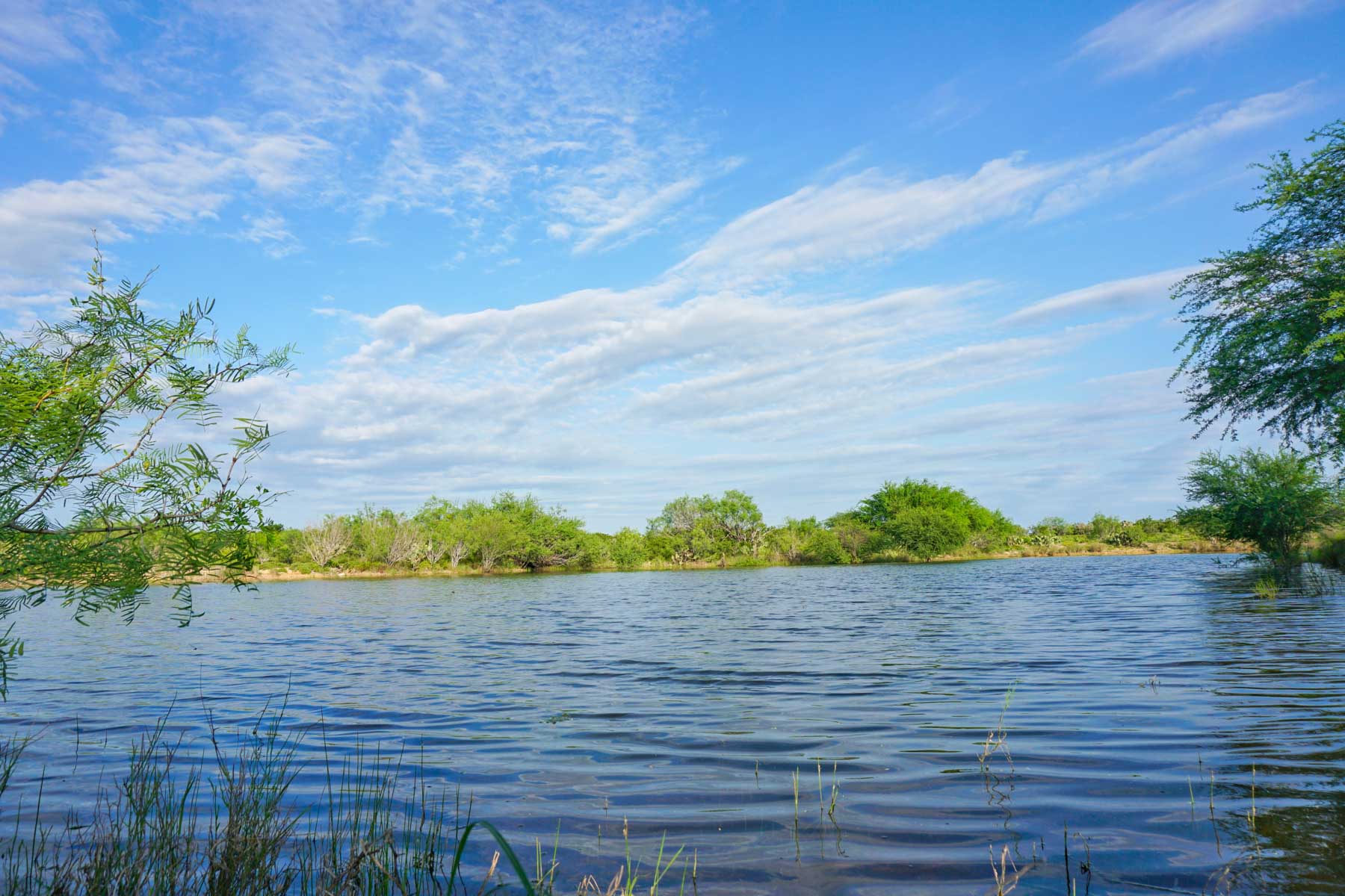 Mi Cancion Ranch property picture 44 of 49