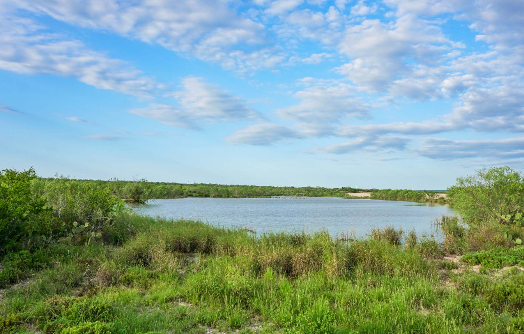 Mi Cancion Ranch property picture 39 of 49