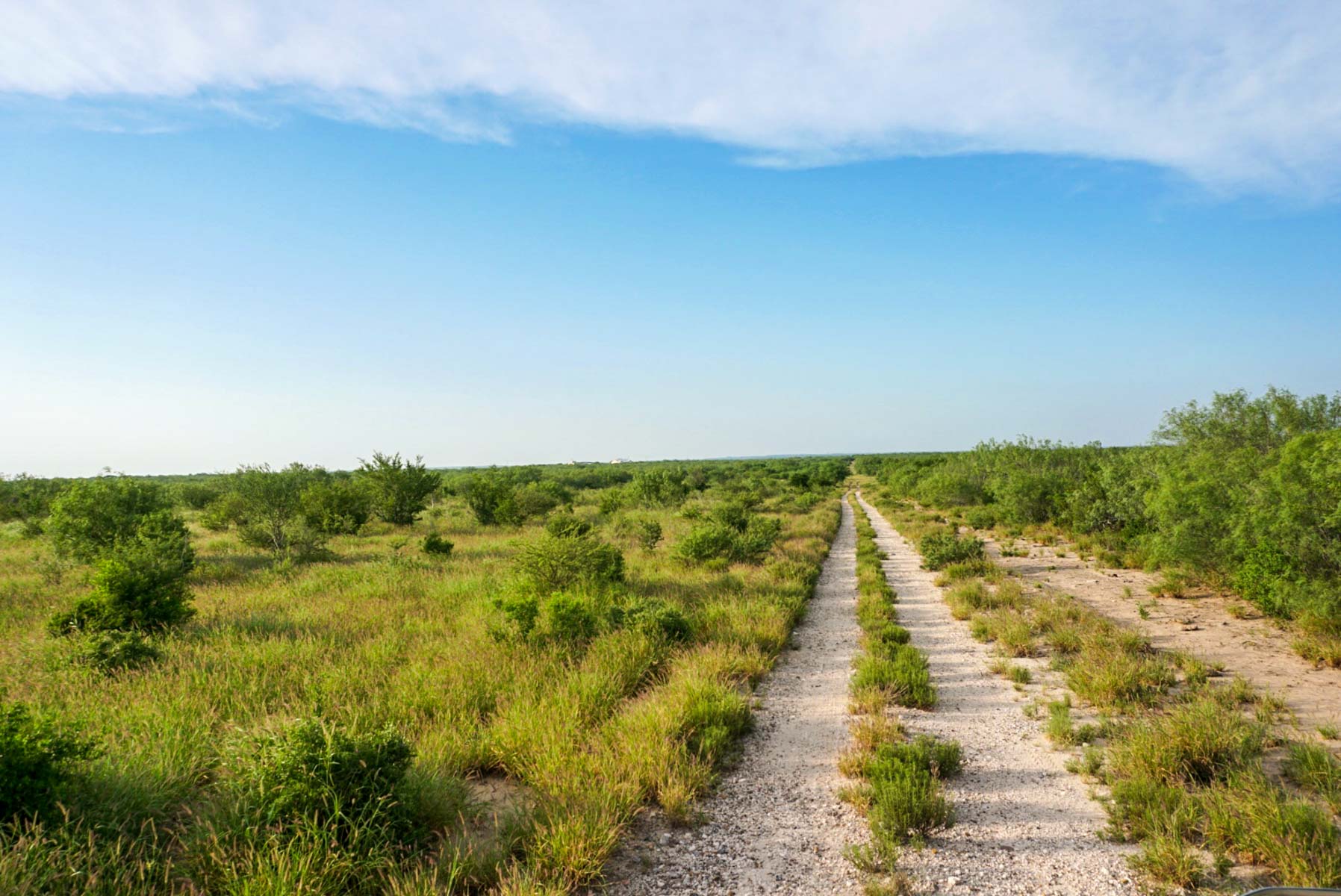 Mi Cancion Ranch property picture 12 of 49