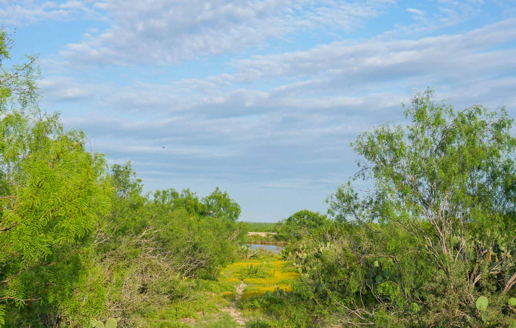 Mi Cancion Ranch property picture 42 of 49