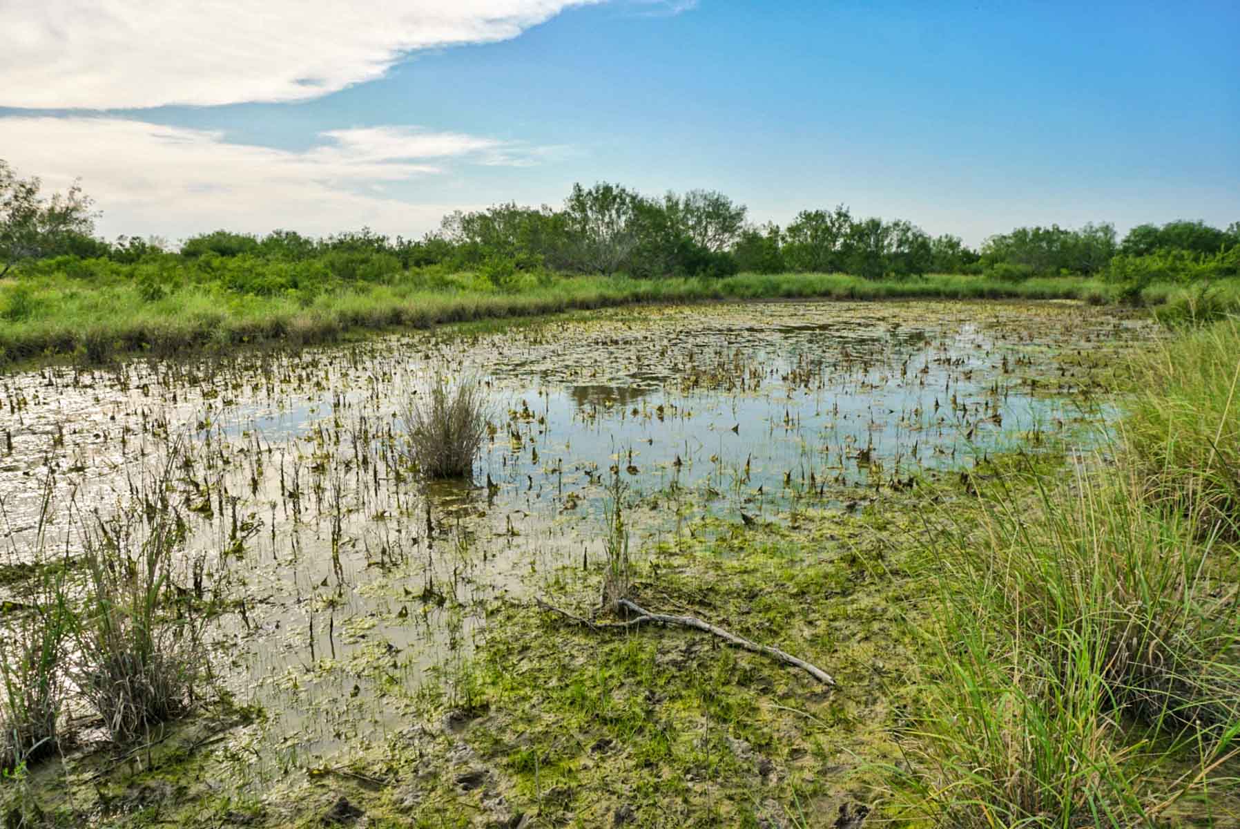 Mi Cancion Ranch property picture 34 of 49