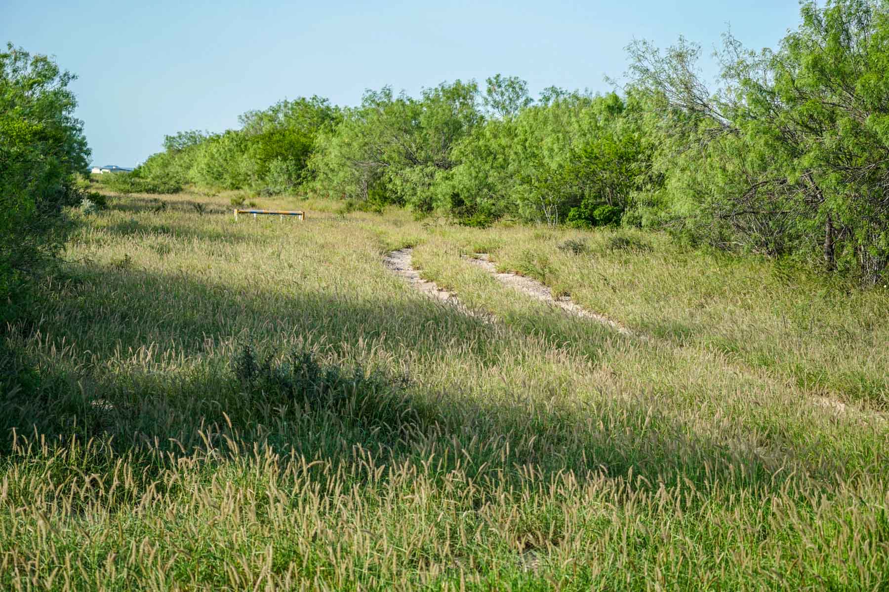 Mi Cancion Ranch property picture 45 of 49