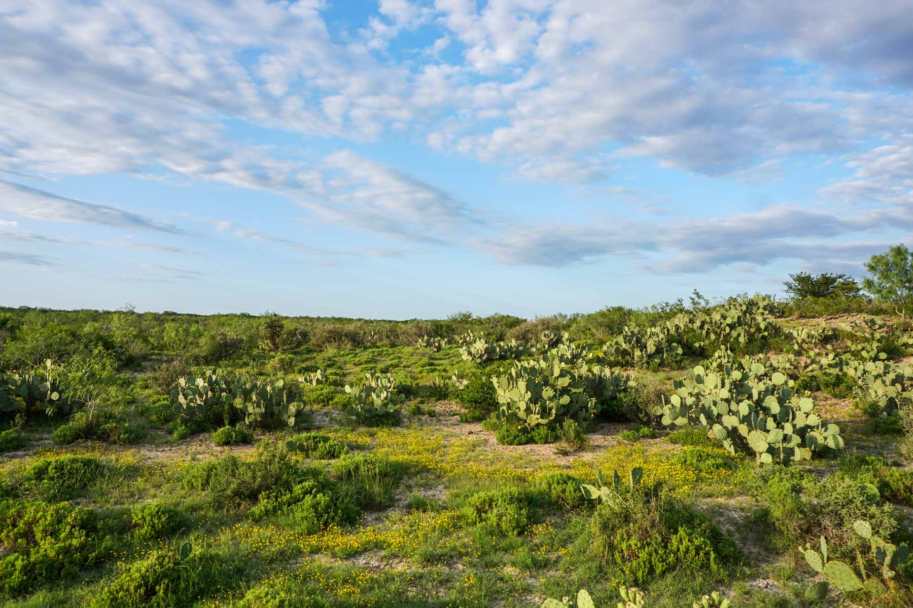 Mi Cancion Ranch property picture 37 of 49