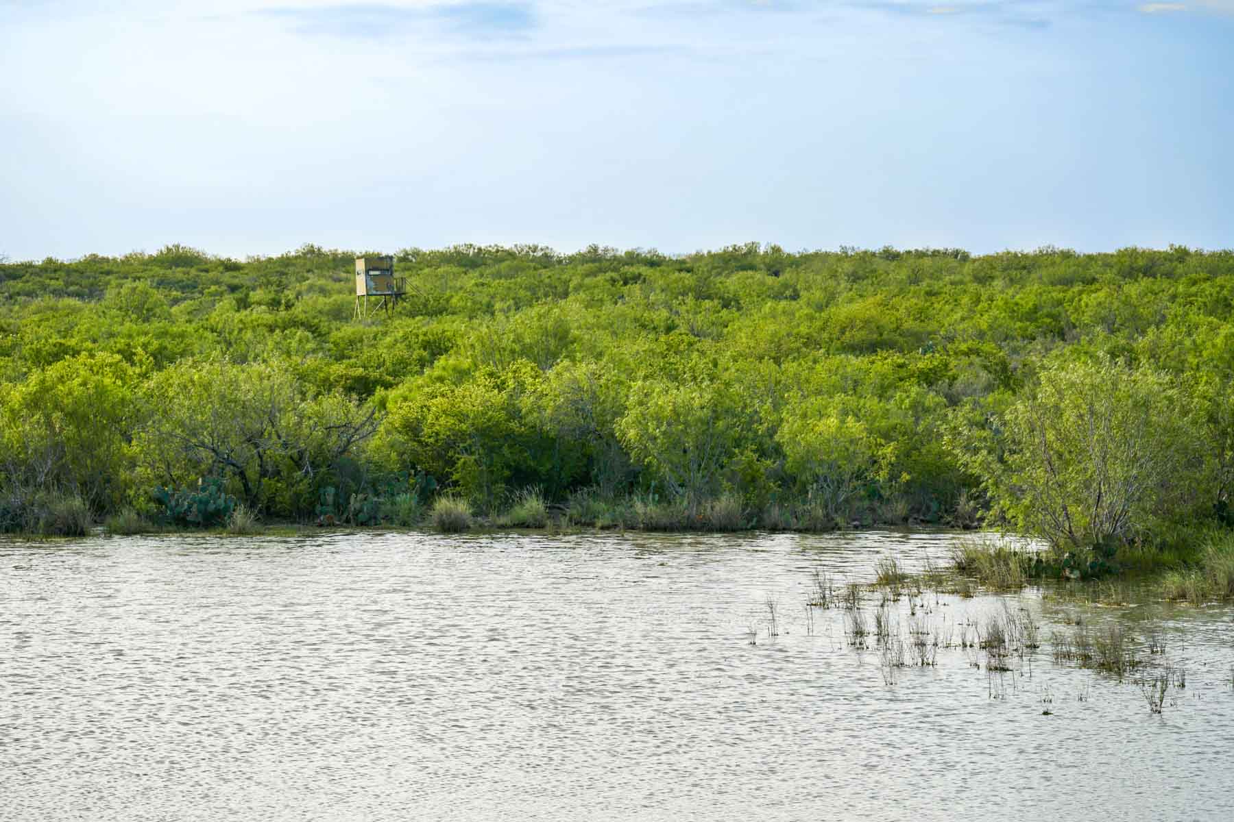 Mi Cancion Ranch property picture 38 of 49