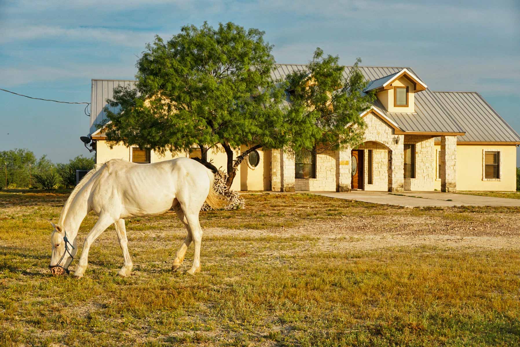 Mi Cancion Ranch property picture 16 of 49