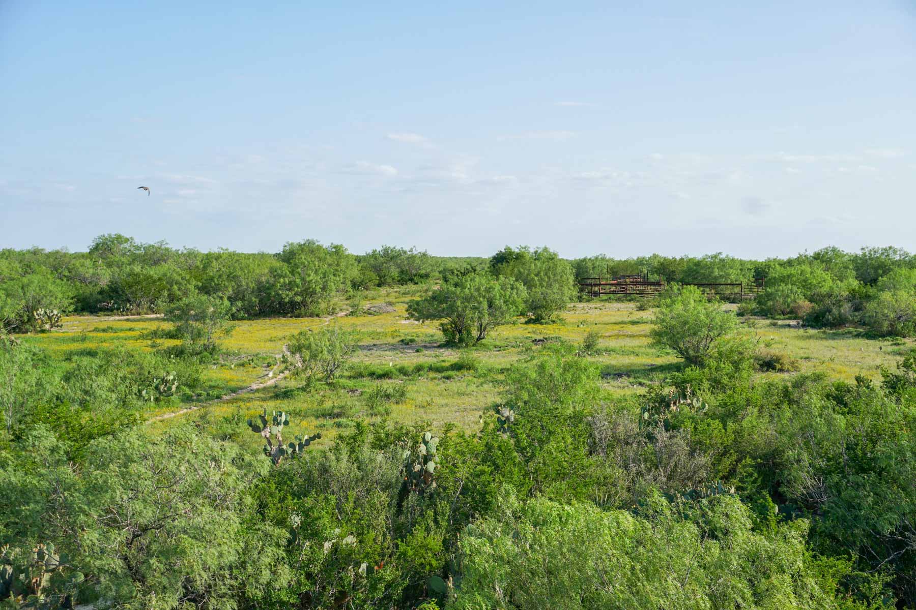 Mi Cancion Ranch property picture 2 of 49