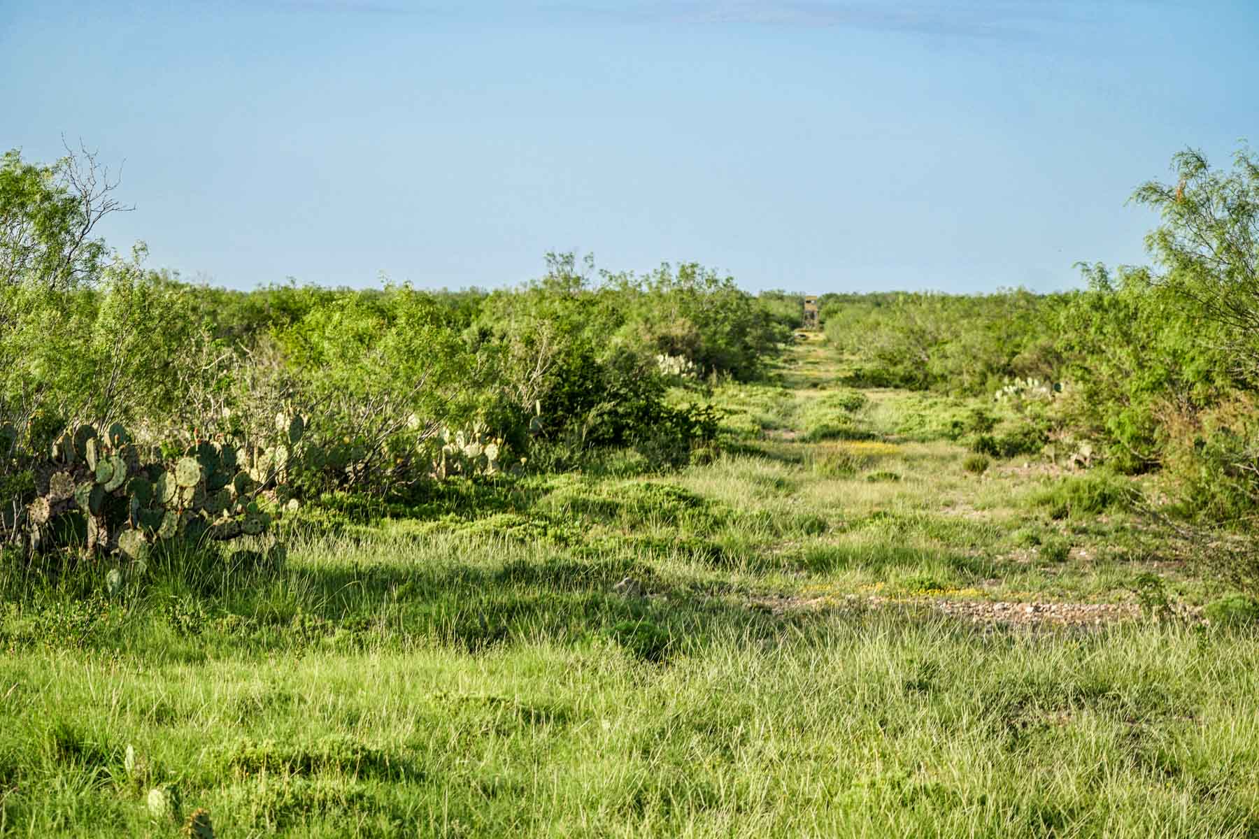 Mi Cancion Ranch property picture 41 of 49