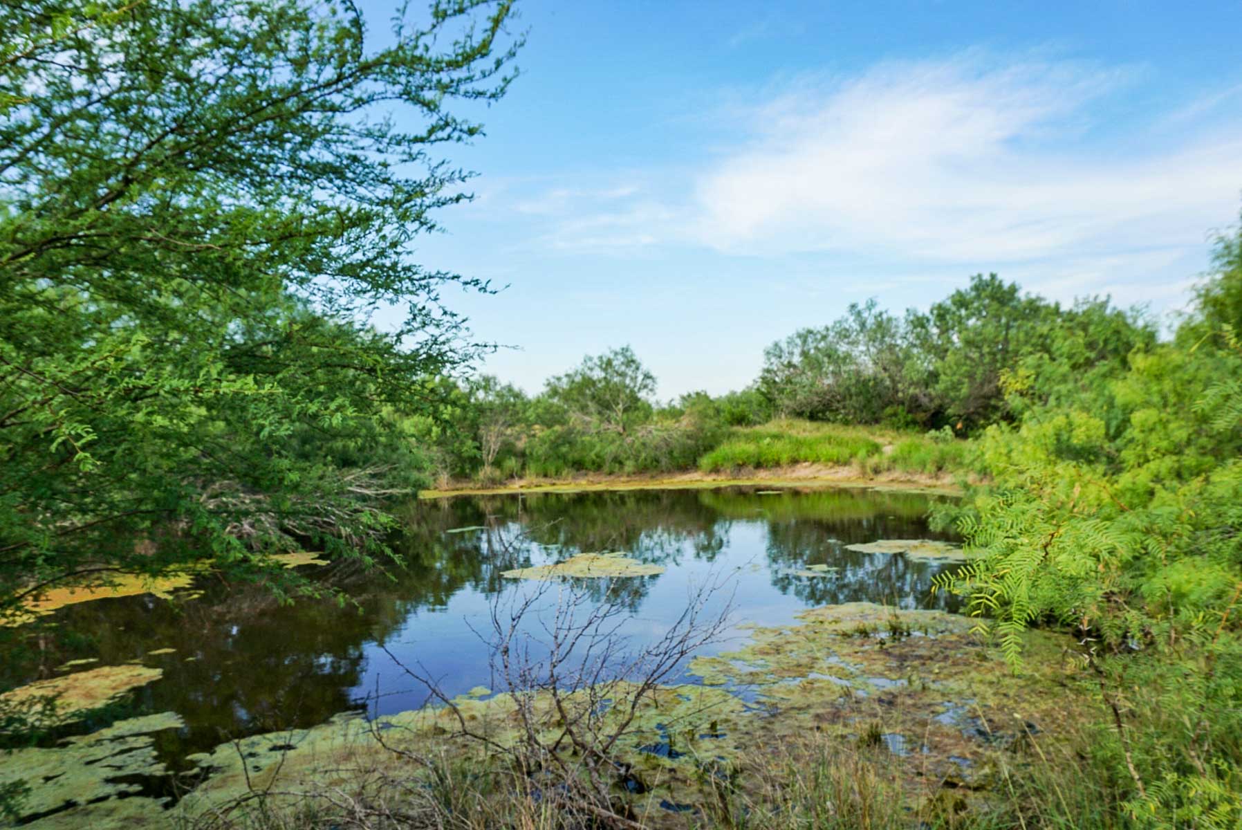 Mi Cancion Ranch property picture 11 of 49