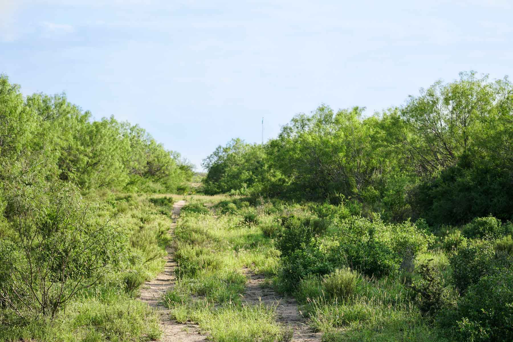 Mi Cancion Ranch property picture 46 of 49