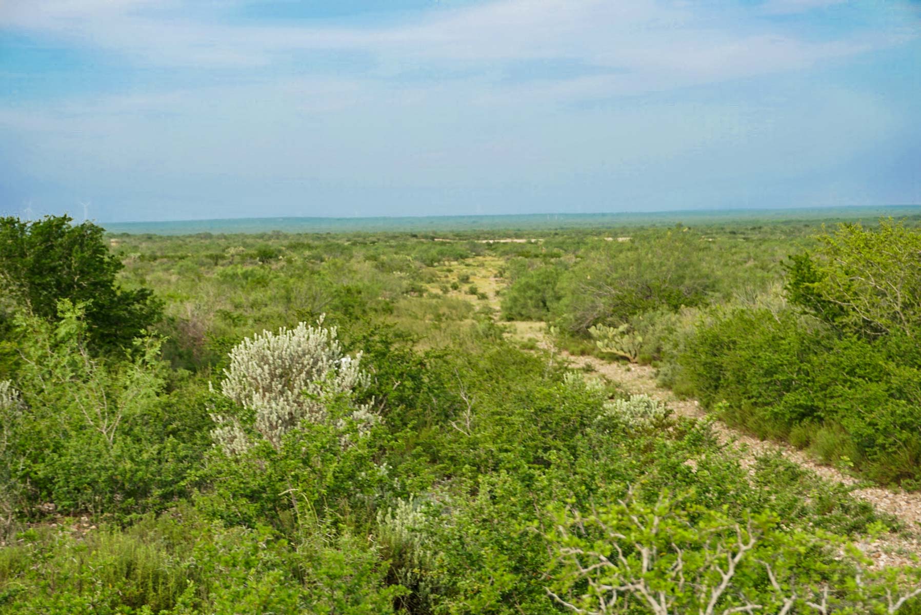 Mi Cancion Ranch property picture 33 of 49