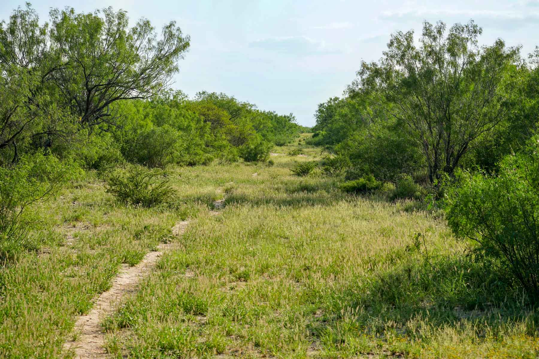 Mi Cancion Ranch property picture 5 of 49