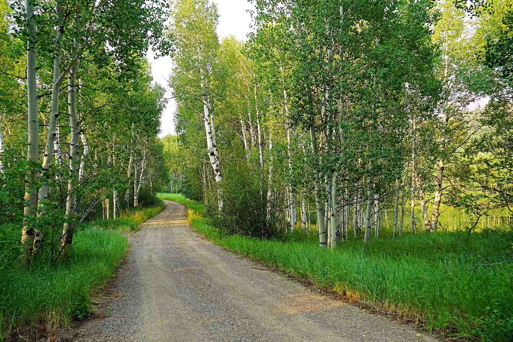 Seven Lakes Ranch property picture 86 of 98