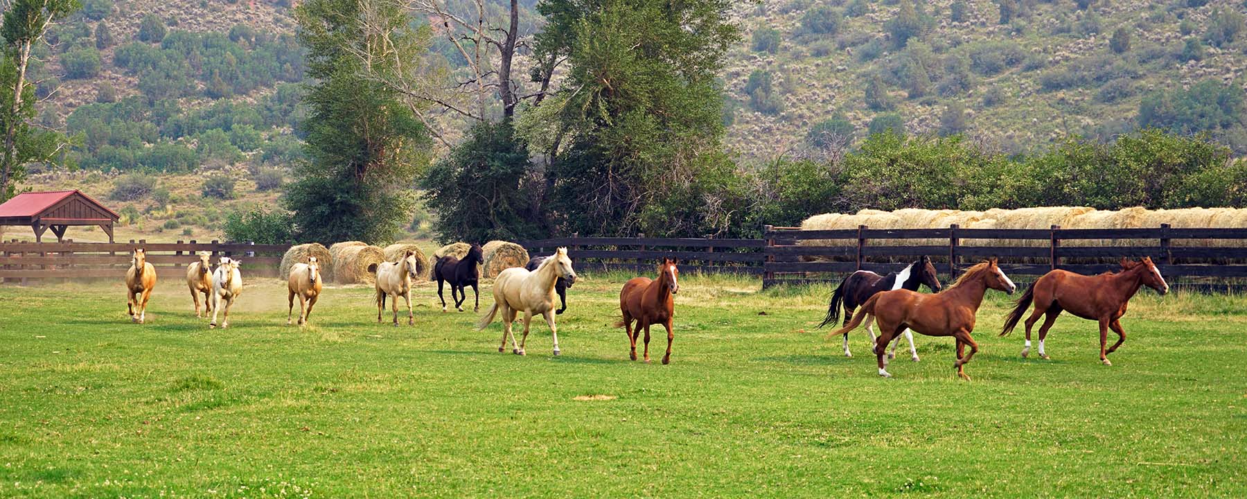 Seven Lakes Ranch property picture 87 of 98
