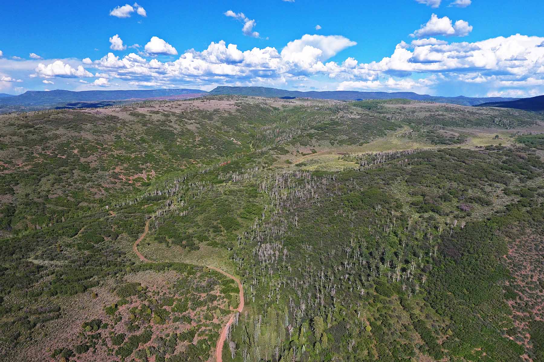 Seven Lakes Ranch property picture 67 of 98