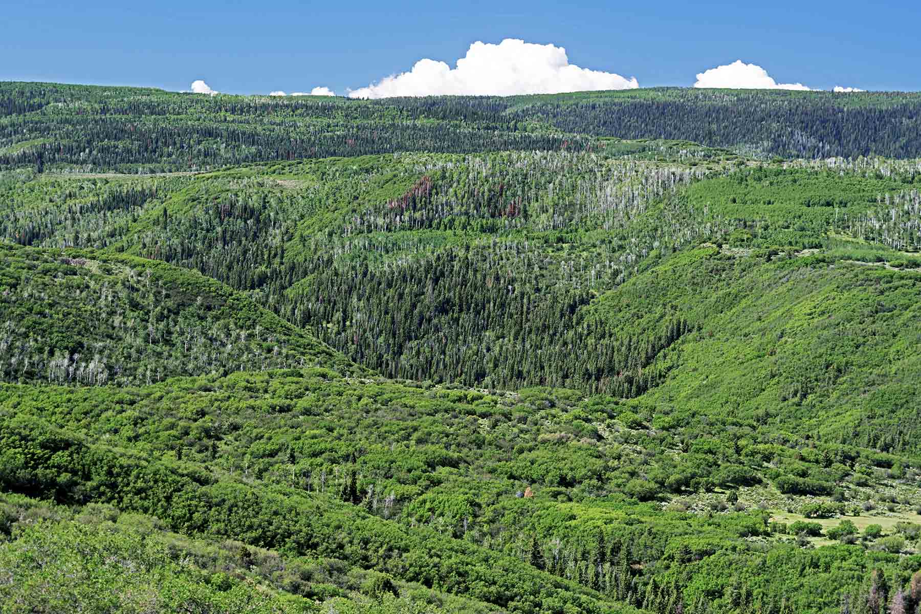 Seven Lakes Ranch property picture 3 of 98