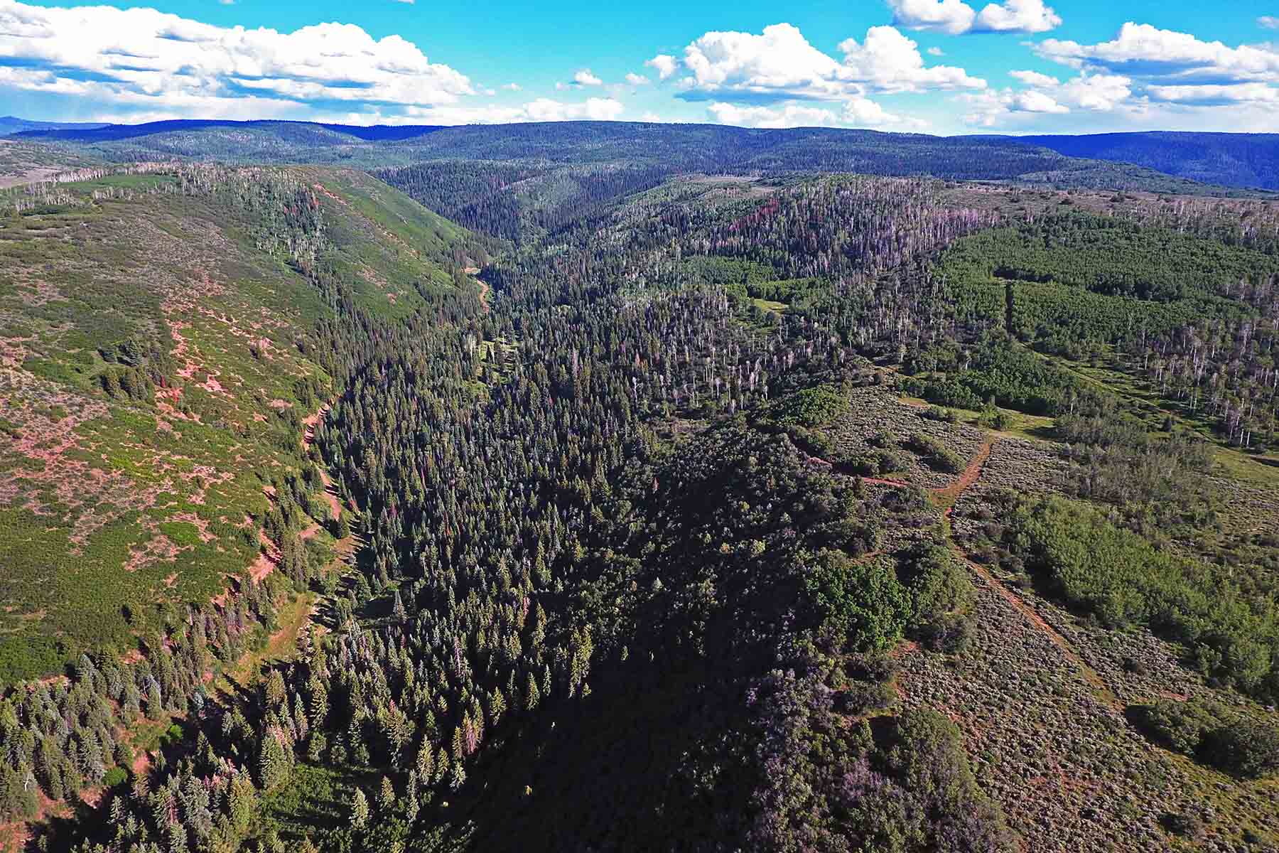 Seven Lakes Ranch property picture 22 of 98