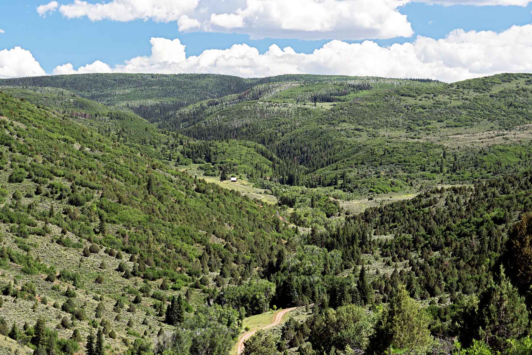 Seven Lakes Ranch property picture 11 of 98