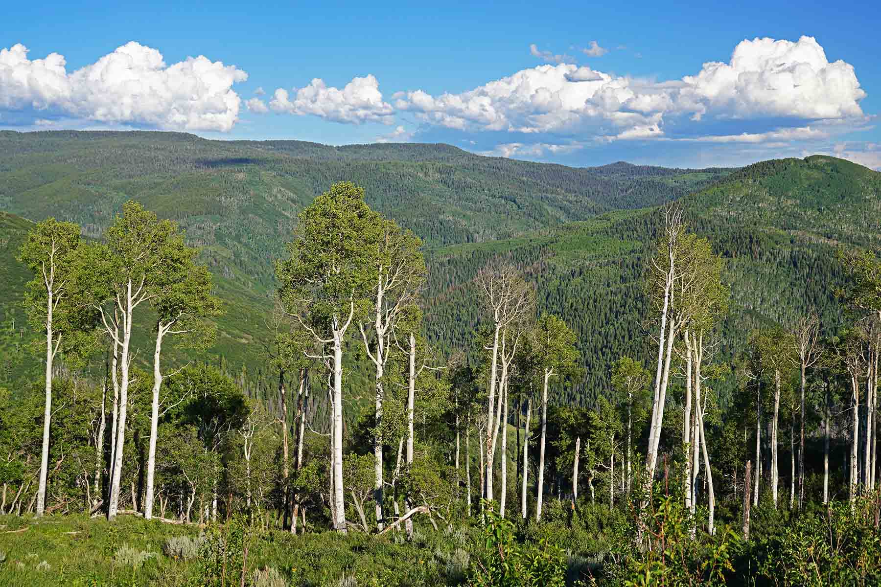 Seven Lakes Ranch property picture 79 of 98