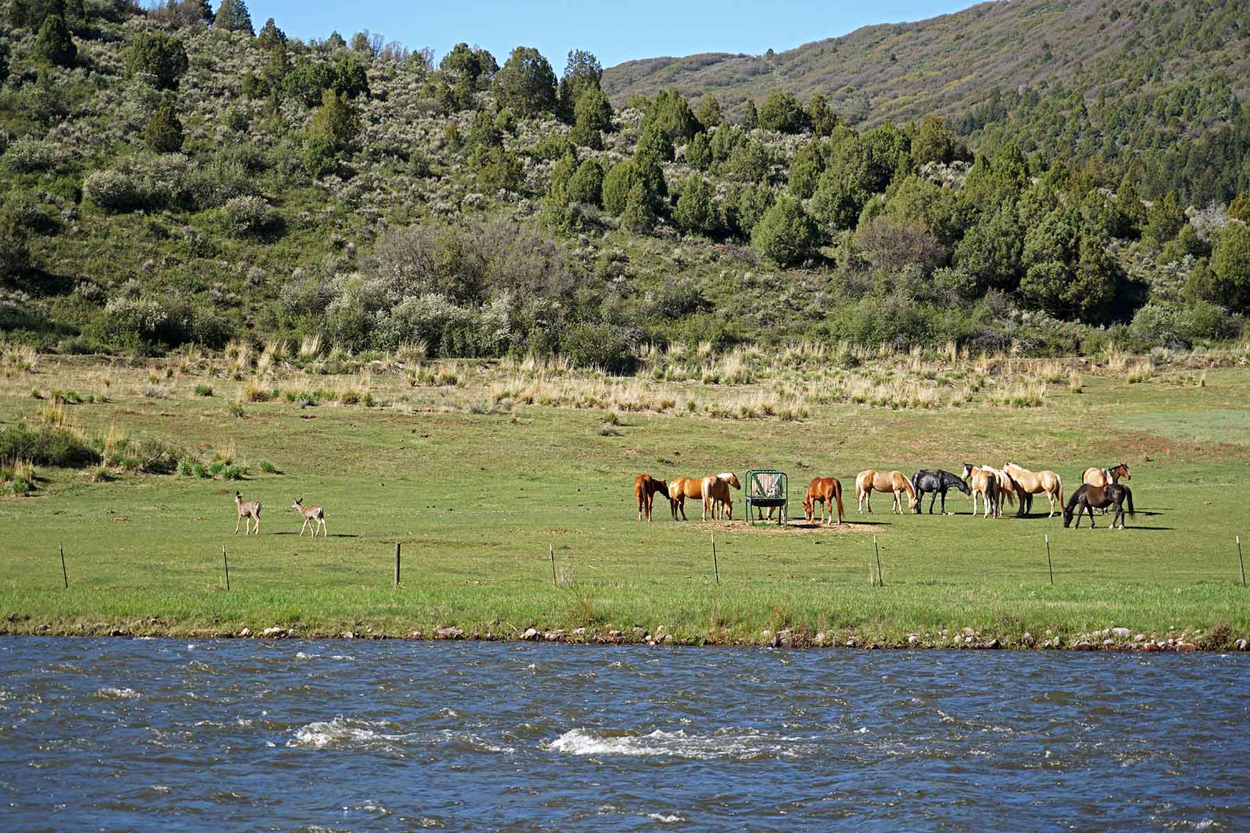Seven Lakes Ranch Sold Colorado Hall and Hall