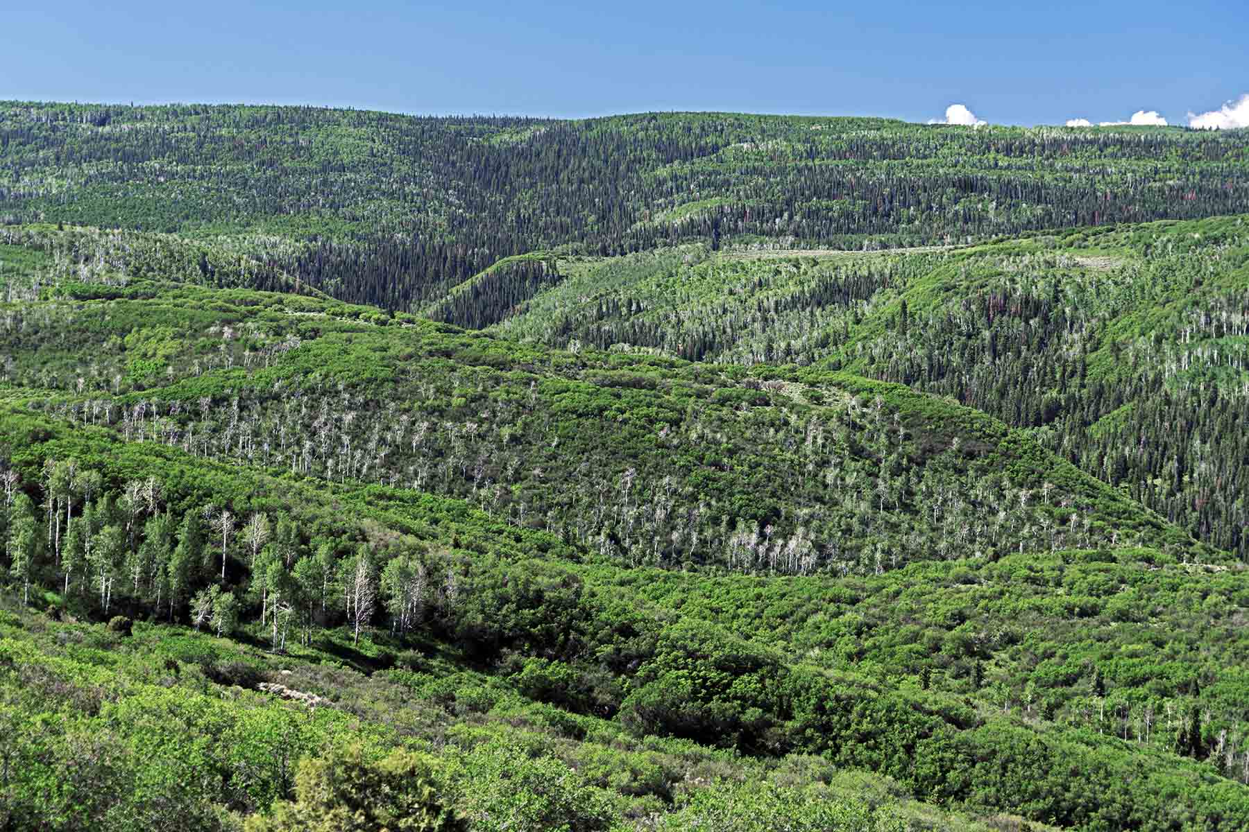 Seven Lakes Ranch property picture 66 of 98