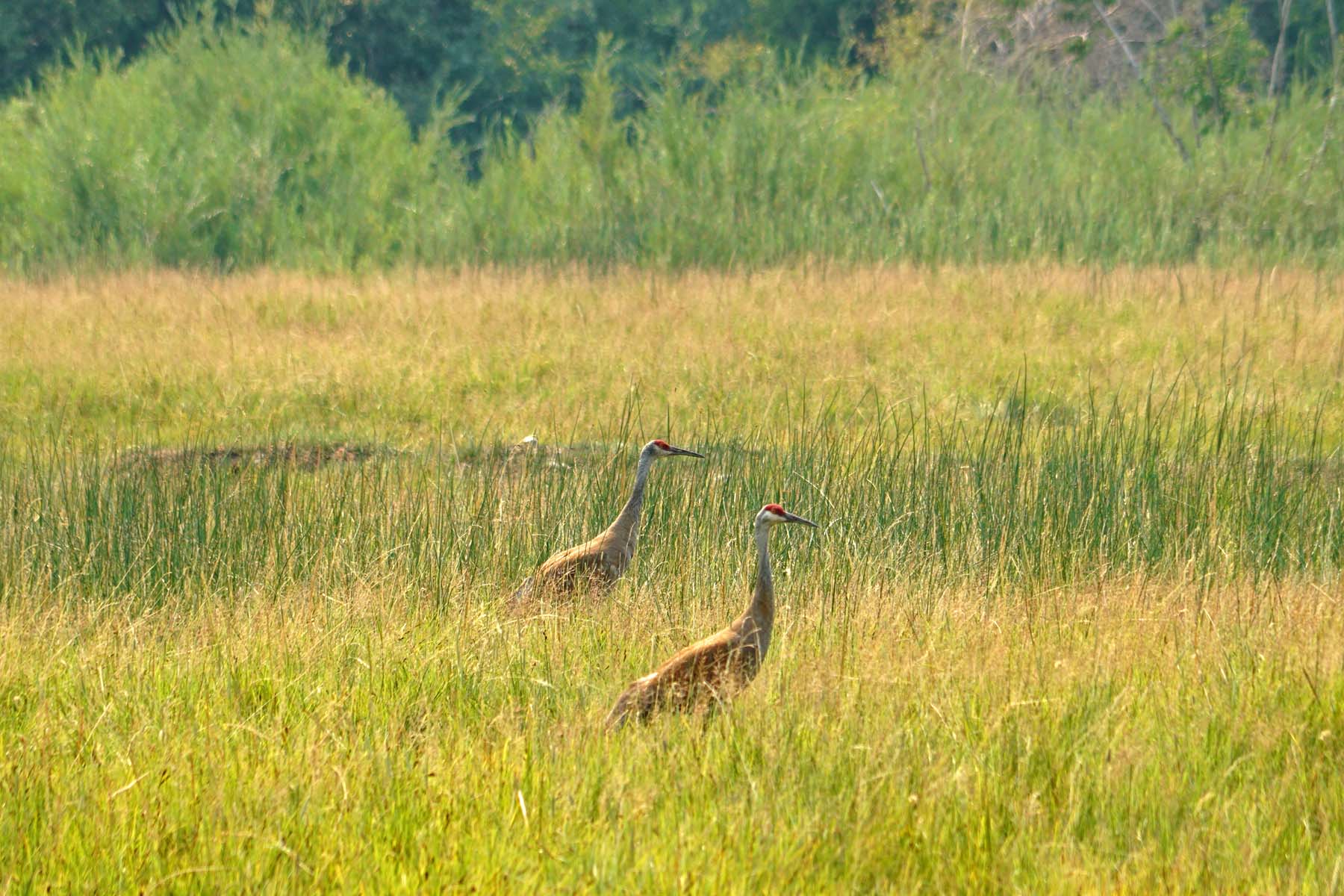 Seven Lakes Ranch property picture 92 of 98