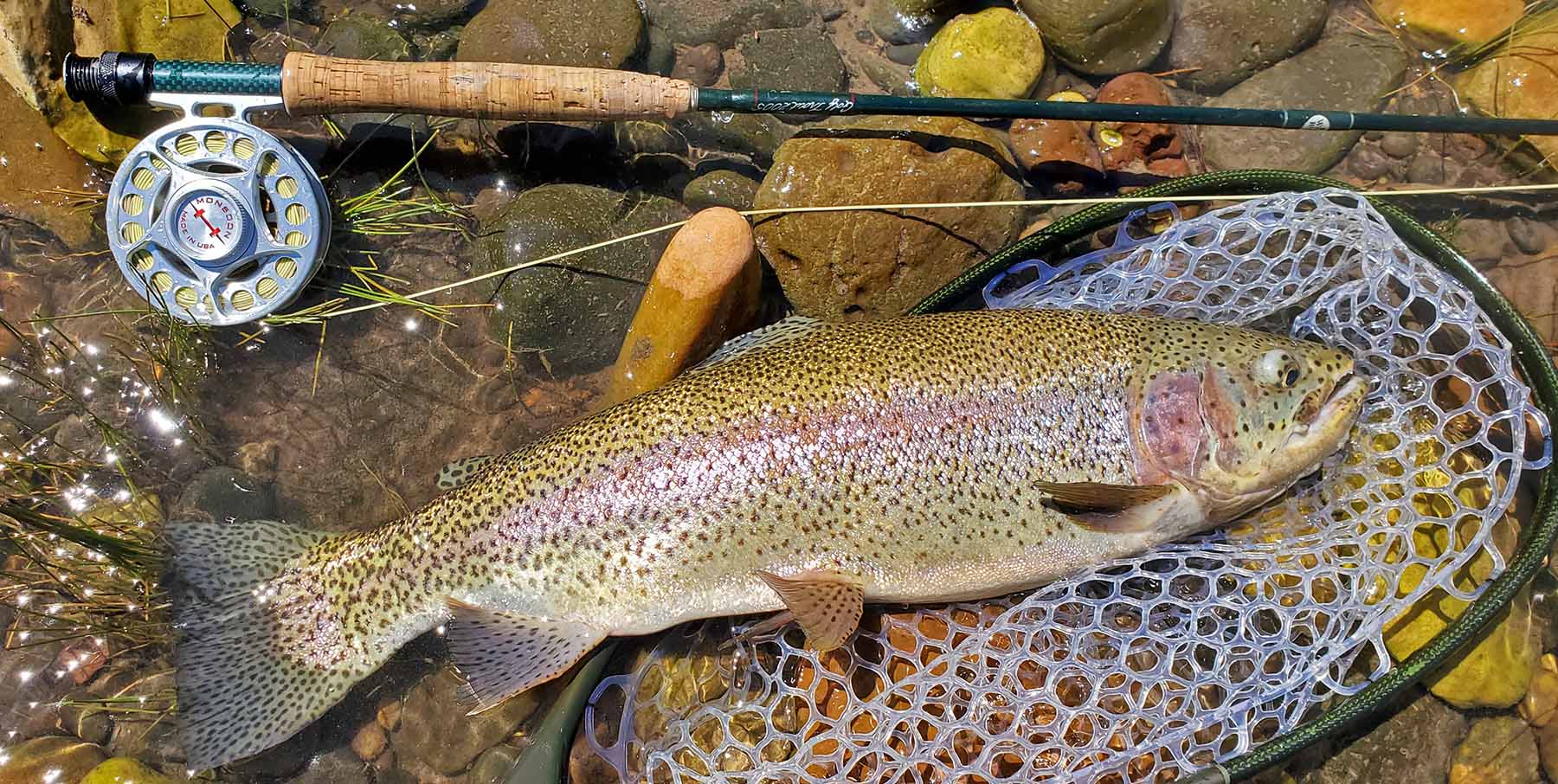 Seven Lakes Ranch property picture 17 of 98