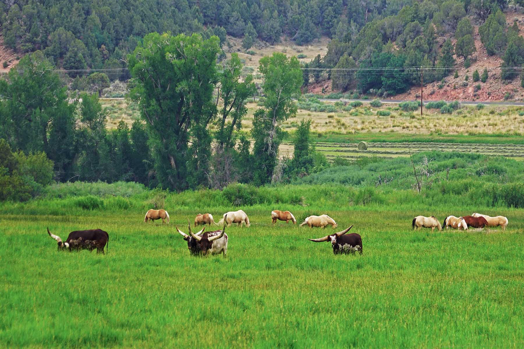 Seven Lakes Ranch property picture 89 of 98