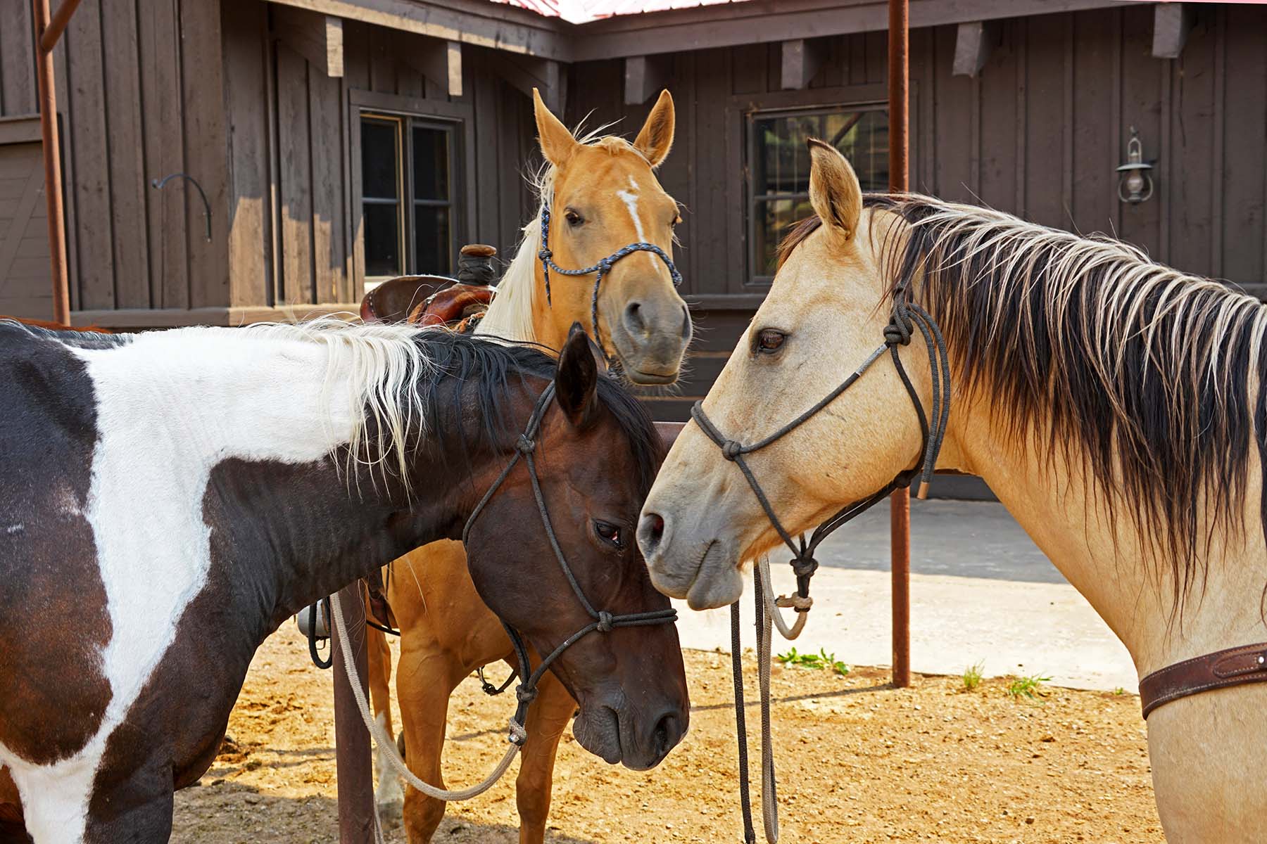 Seven Lakes Ranch property picture 88 of 98