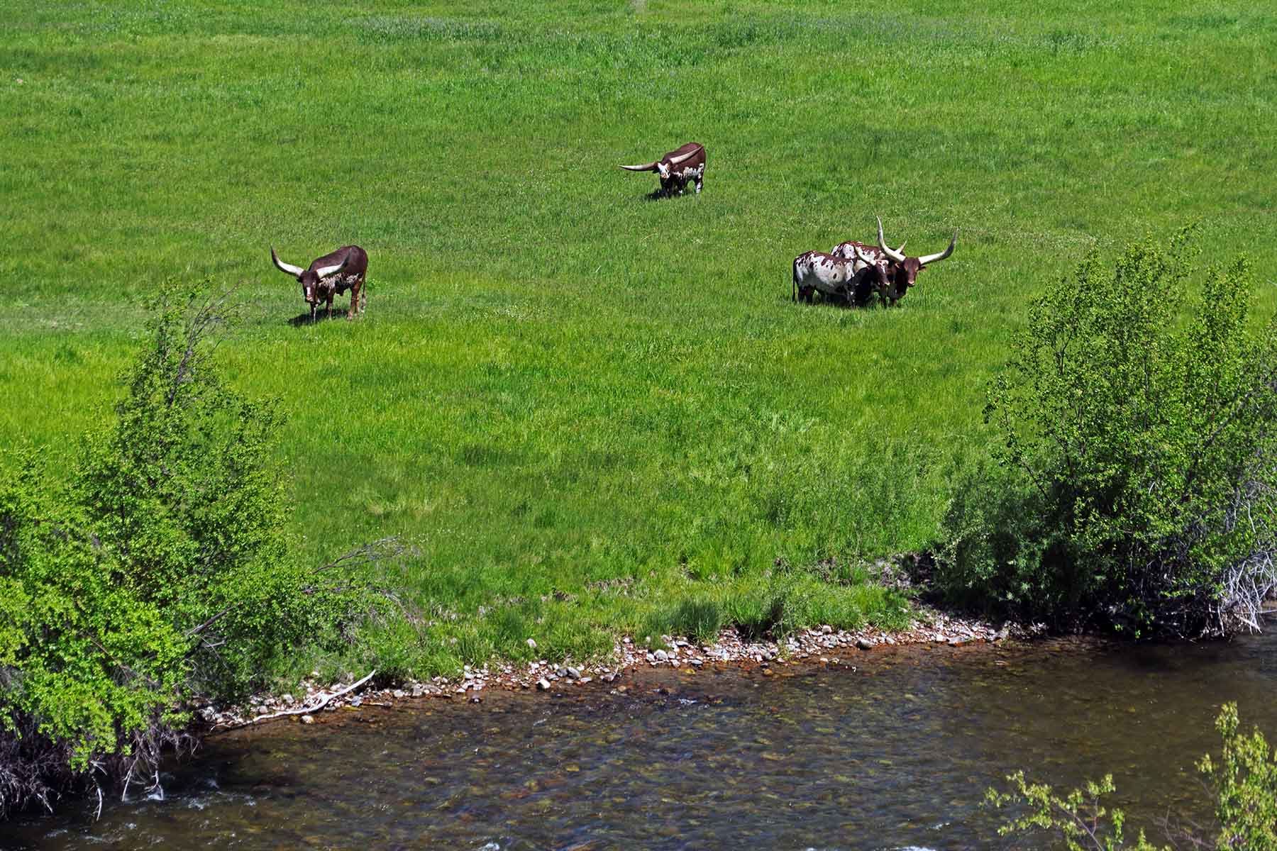 Seven Lakes Ranch property picture 83 of 98