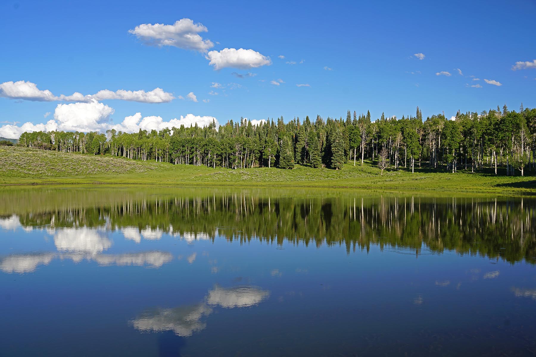 Seven Lakes Ranch property picture 10 of 98