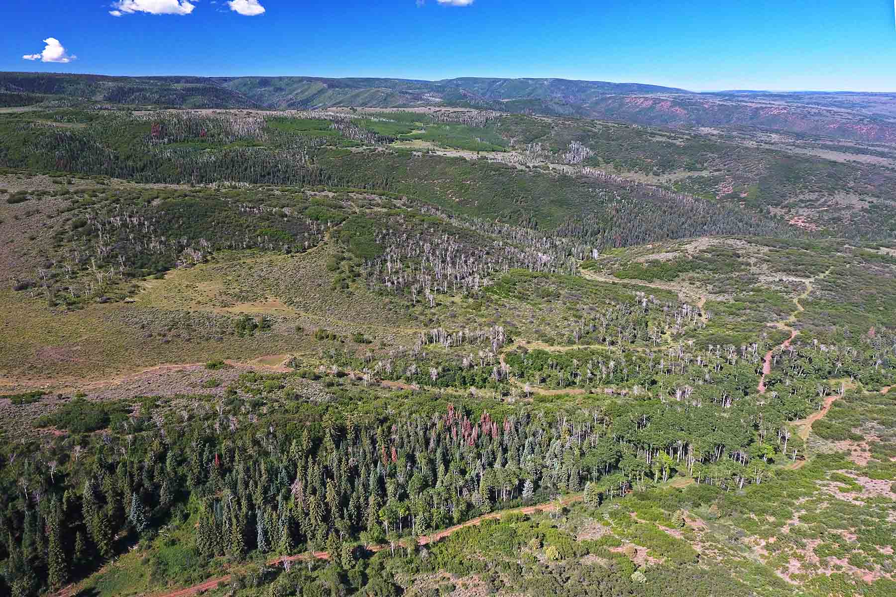 Seven Lakes Ranch property picture 14 of 98