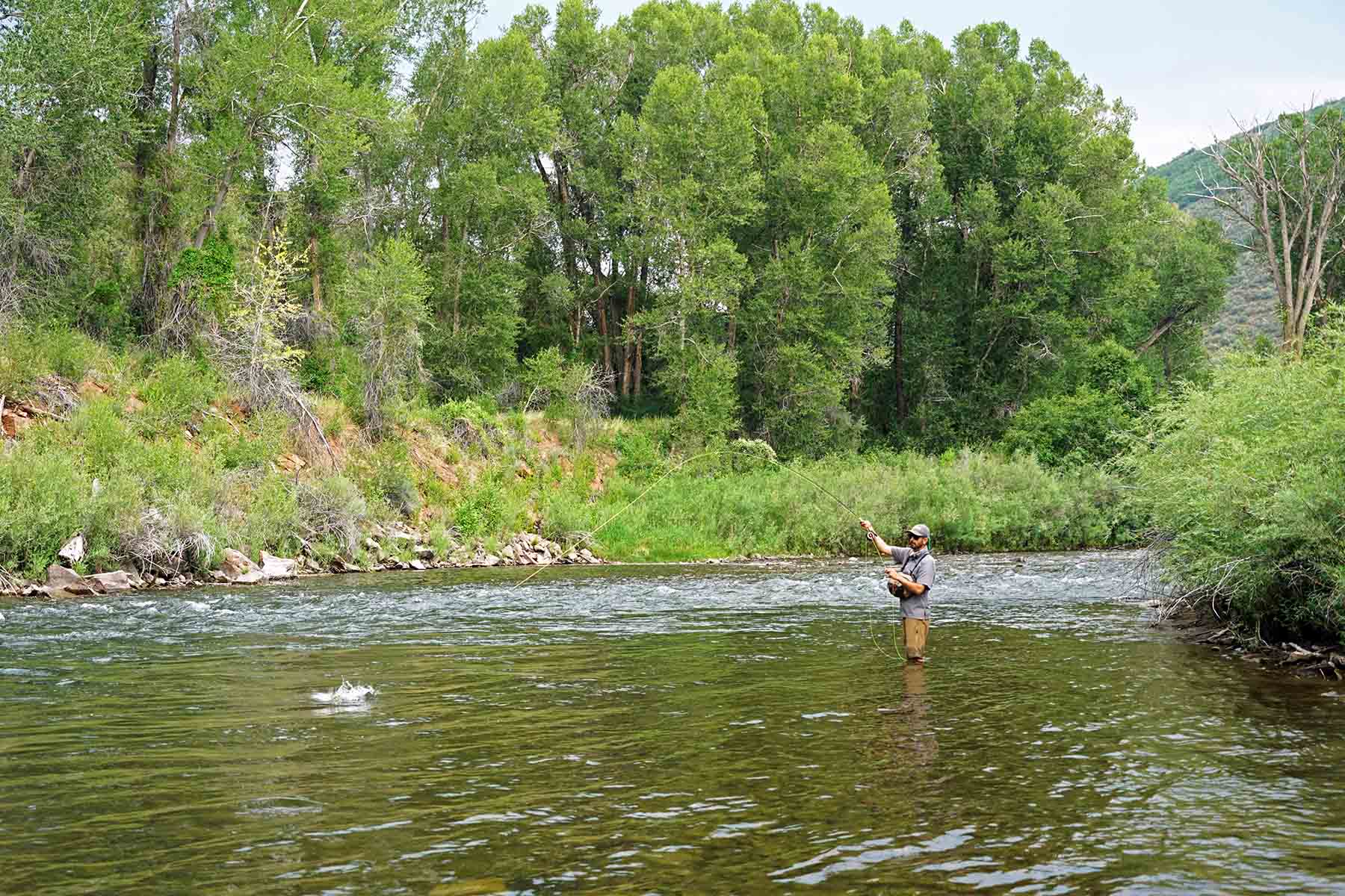 Seven Lakes Ranch property picture 95 of 98