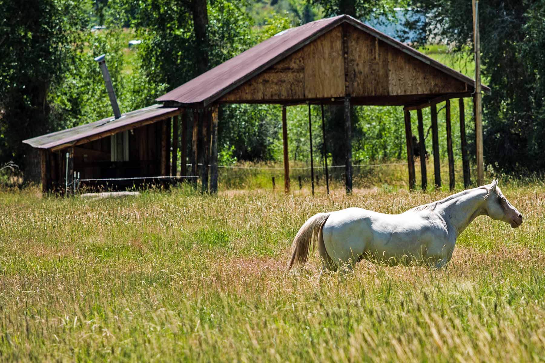 Seven Lakes Ranch property picture 62 of 98