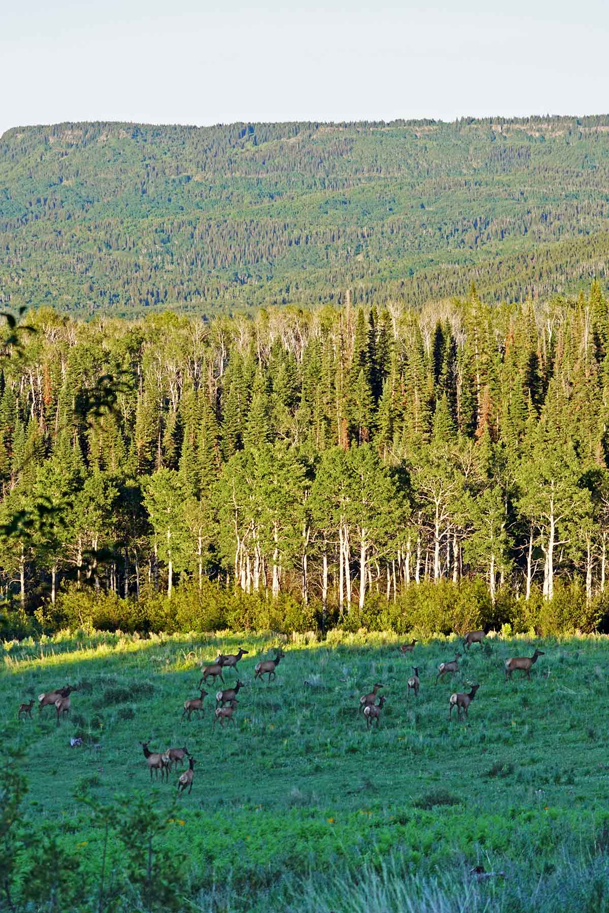 Seven Lakes Ranch property picture 69 of 98