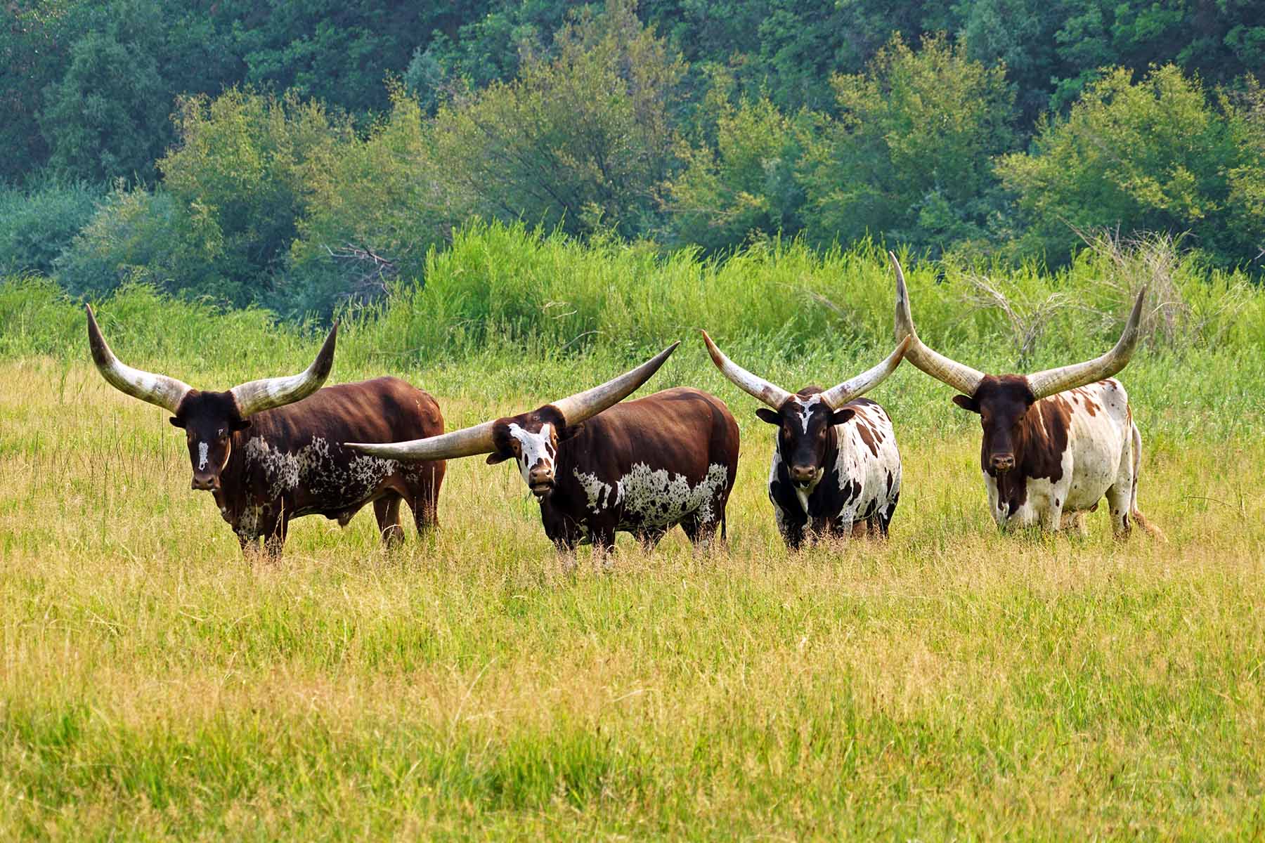 Seven Lakes Ranch property picture 90 of 98