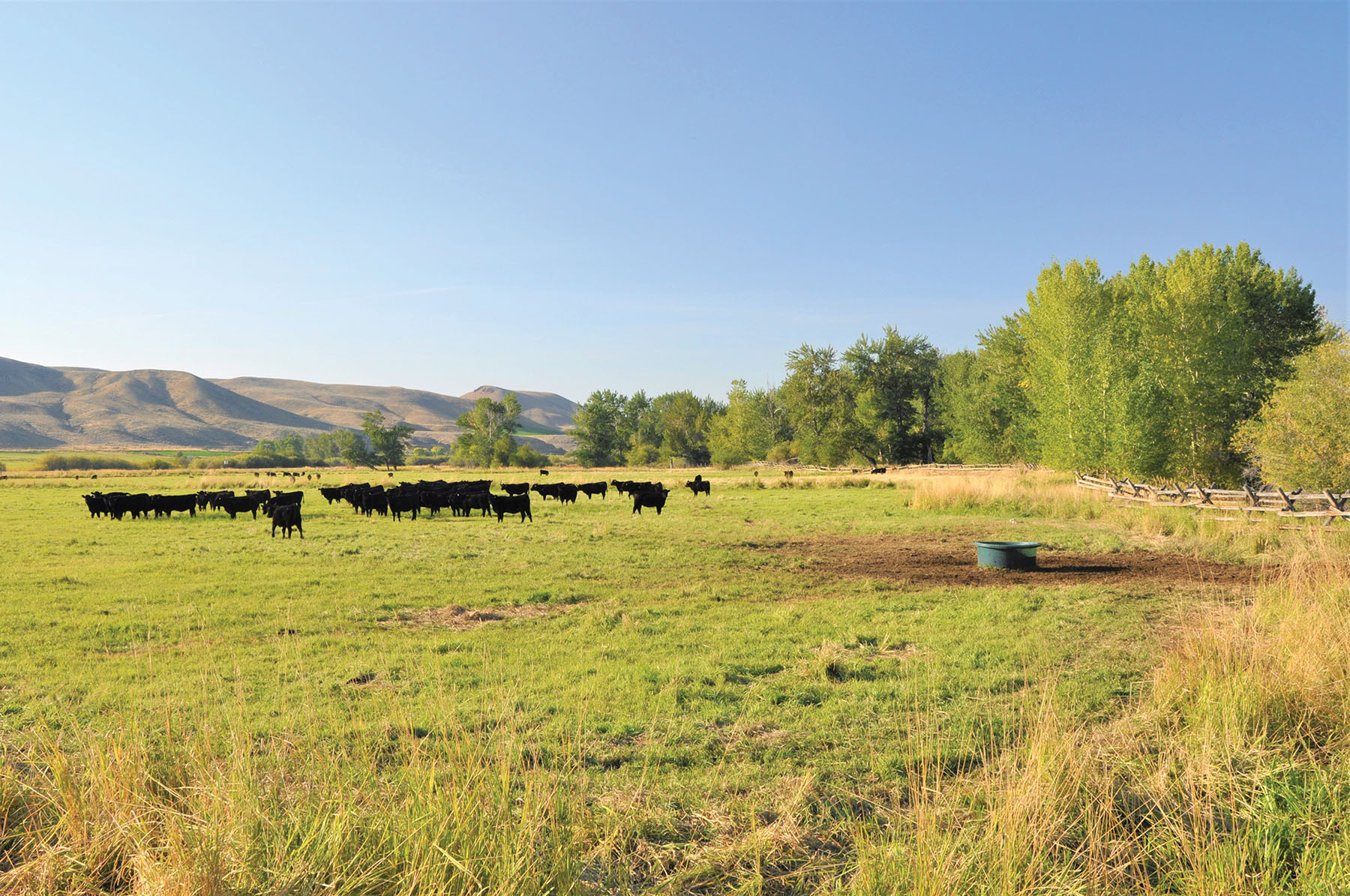 Muleshoe Ranch property picture 3 of 60