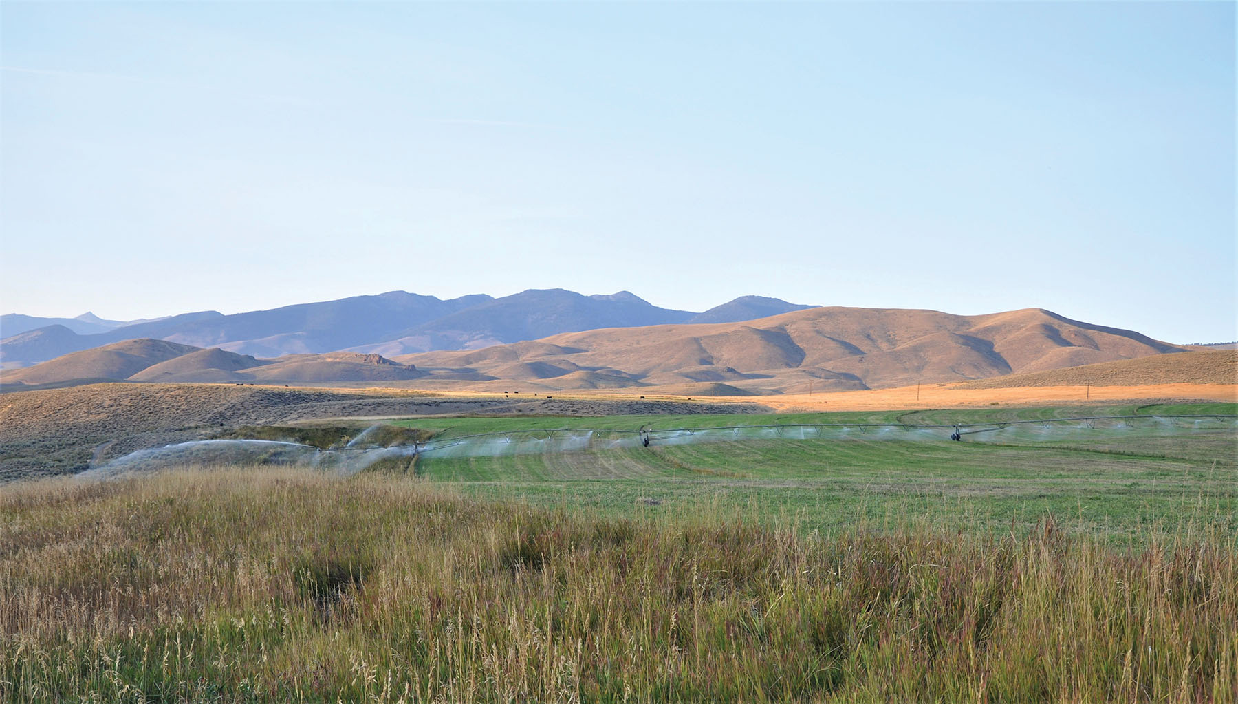 Muleshoe Ranch Sold Idaho Hall and Hall