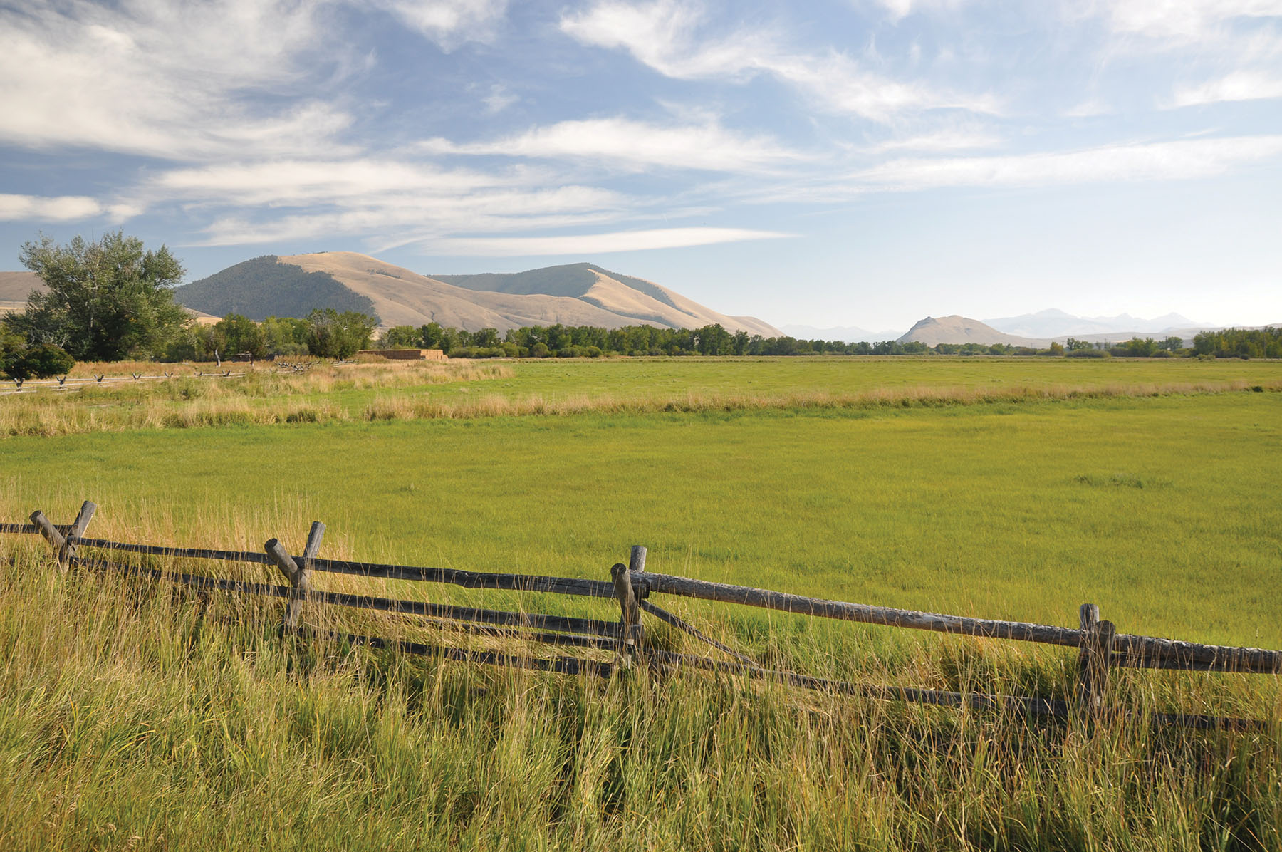 Muleshoe Ranch property picture 18 of 60