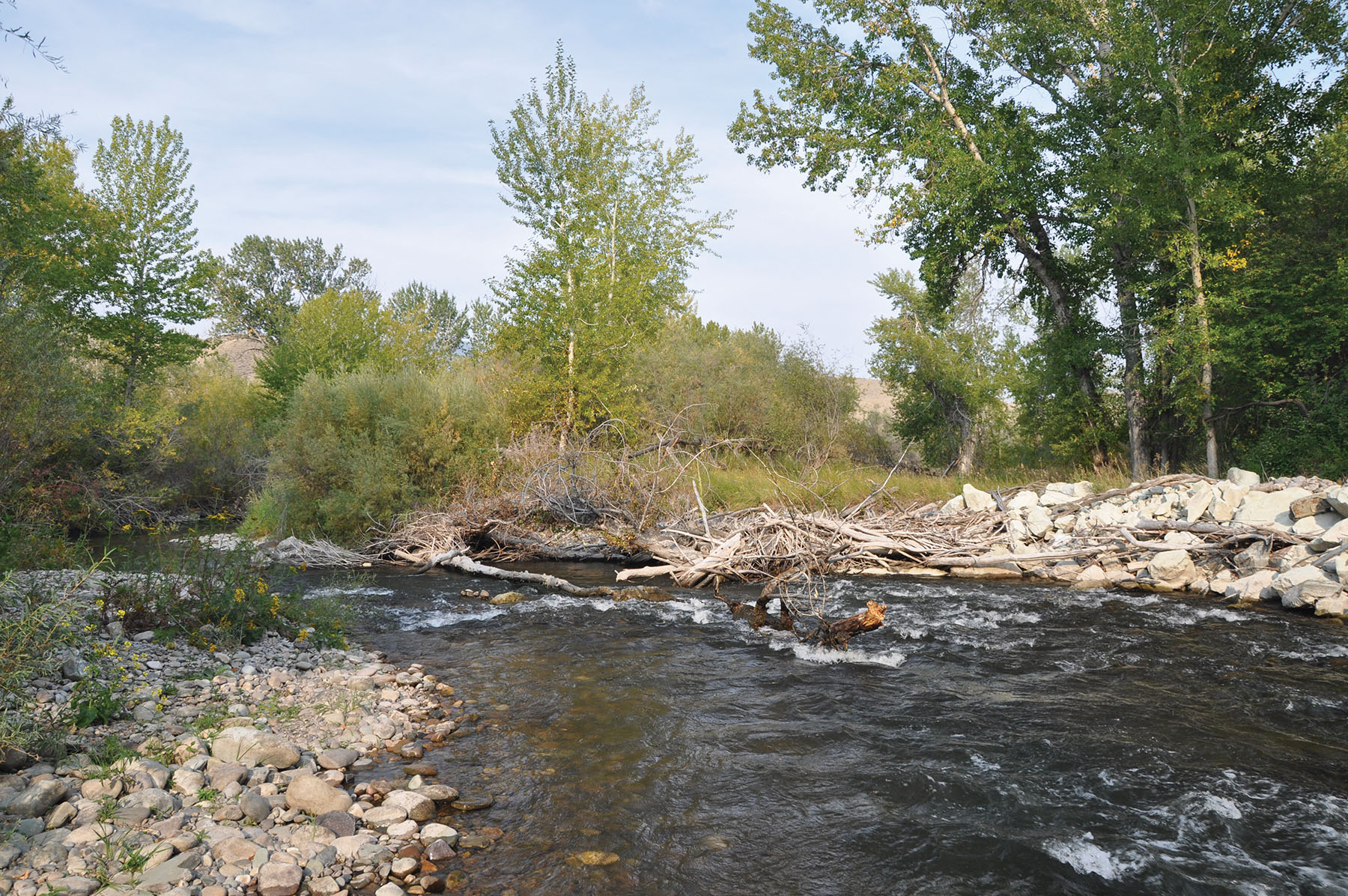 Muleshoe Ranch property picture 49 of 60