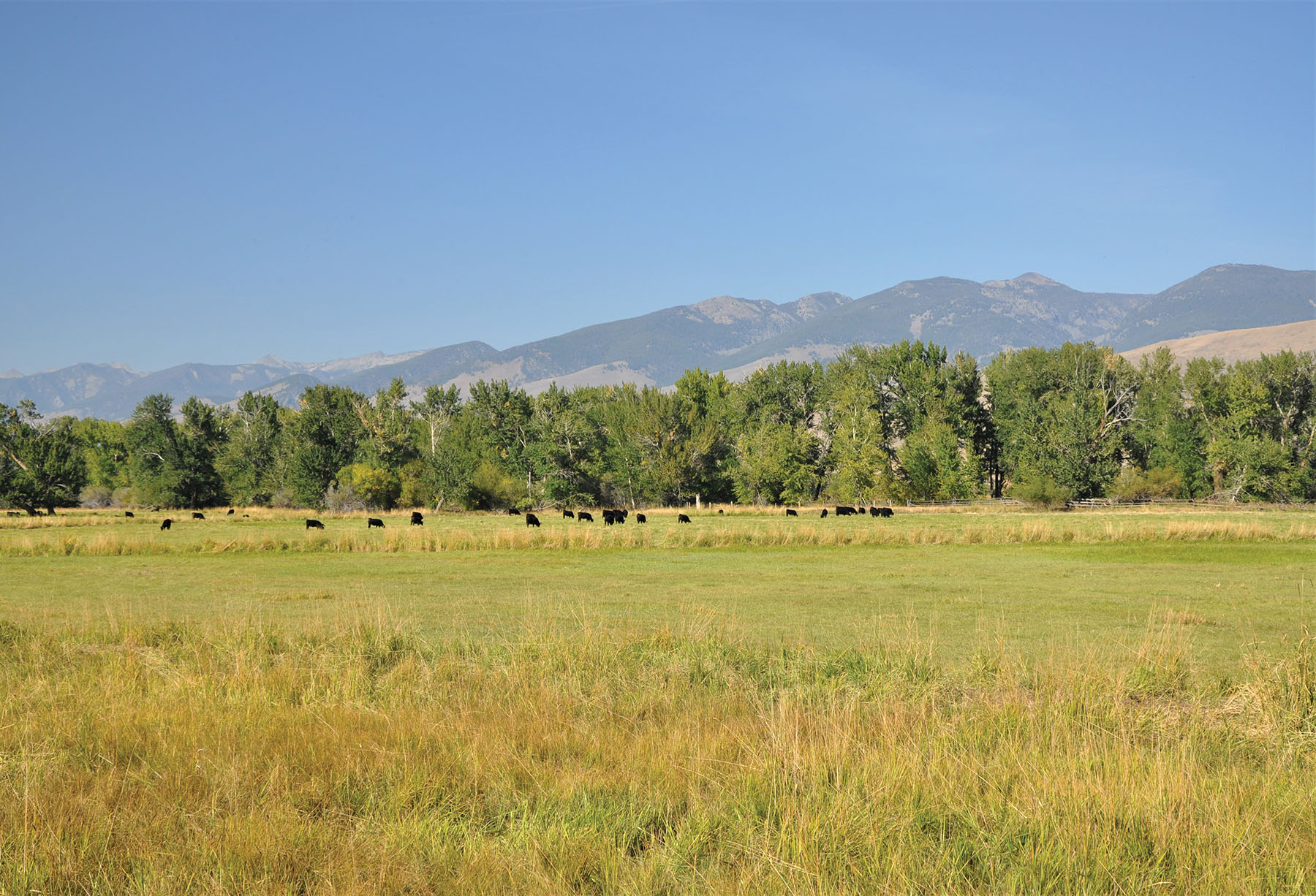 Muleshoe Ranch Sold Idaho Hall and Hall