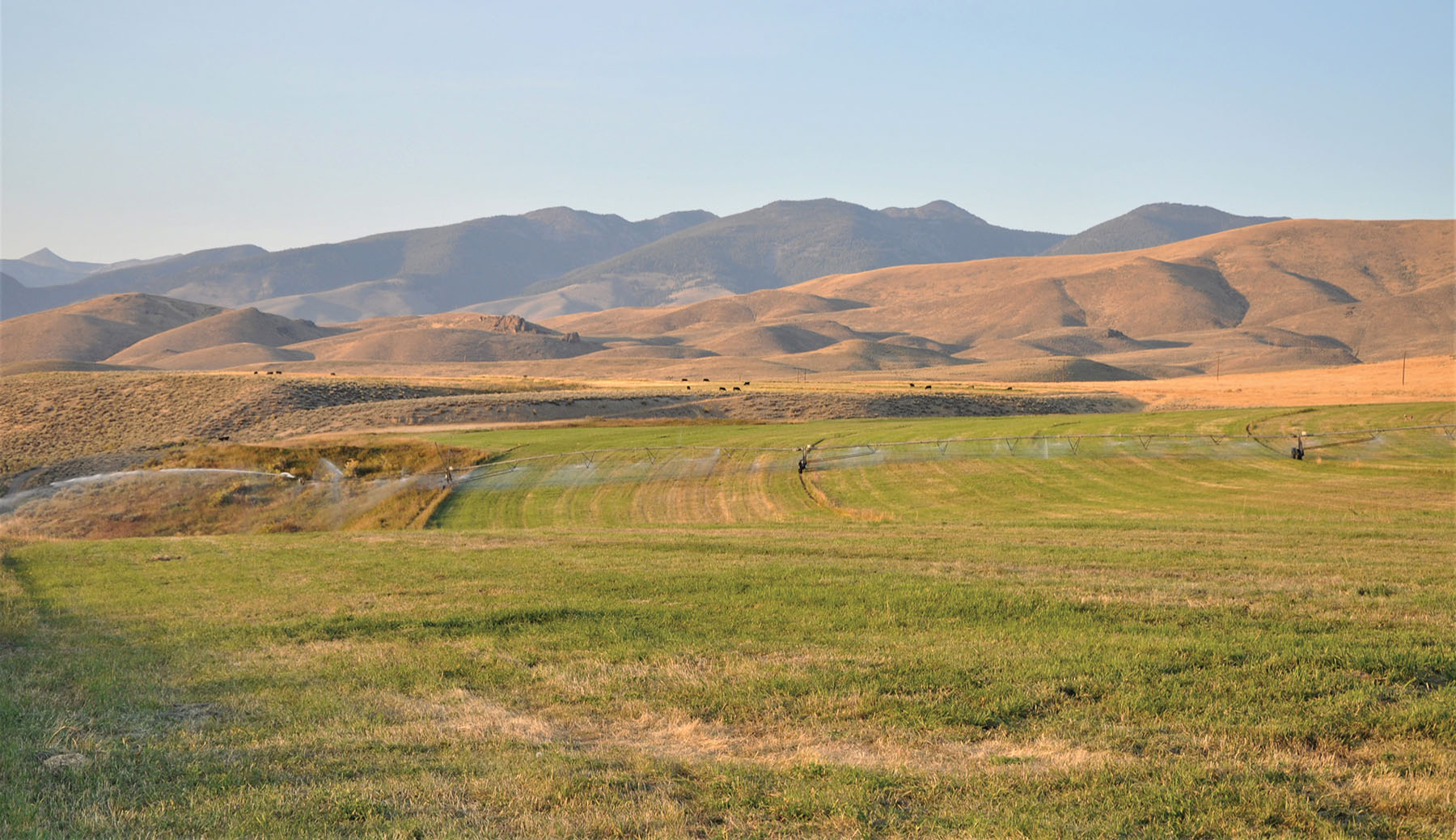 Muleshoe Ranch Sold Idaho Hall and Hall