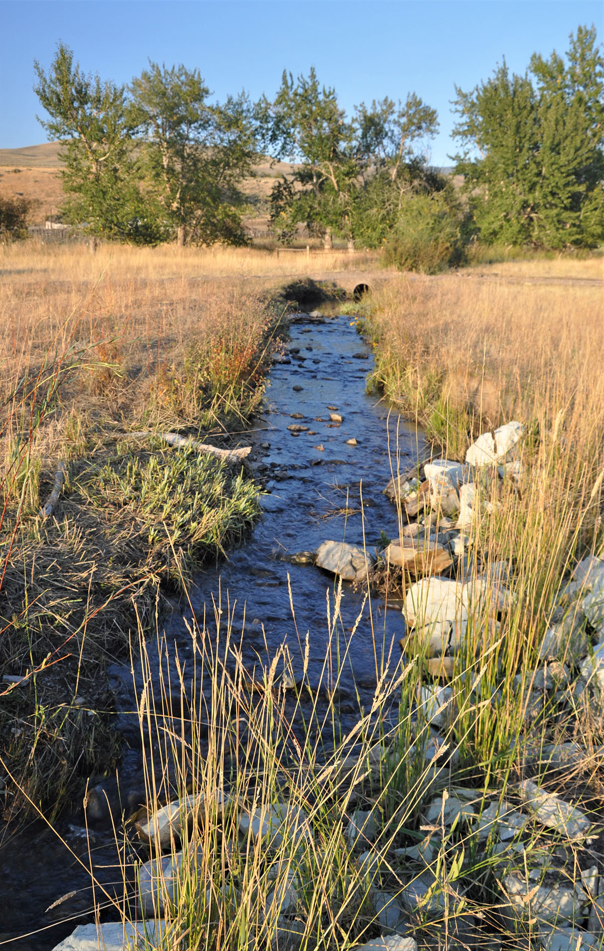 Muleshoe Ranch Sold Idaho Hall and Hall