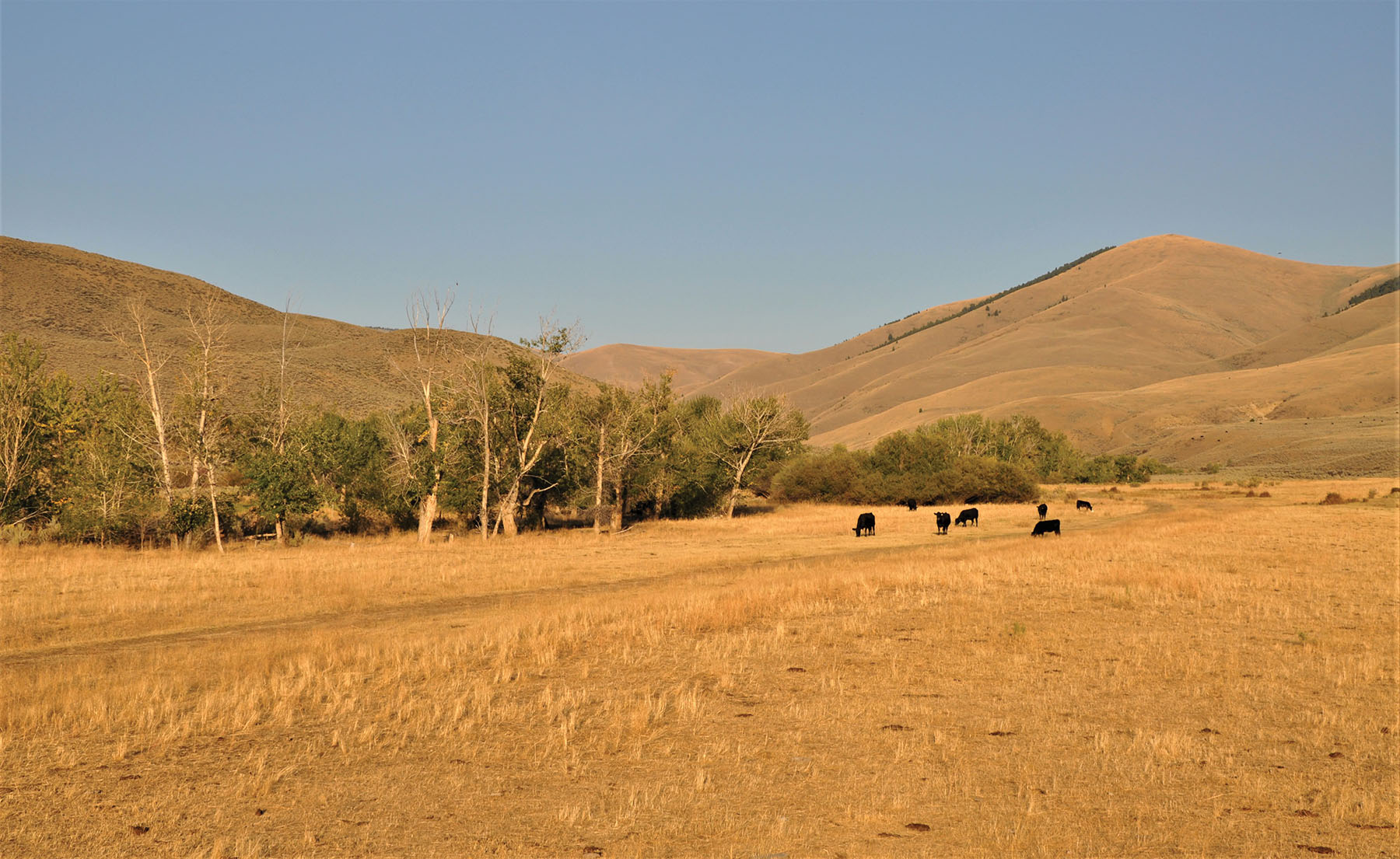 Muleshoe Ranch property picture 47 of 60