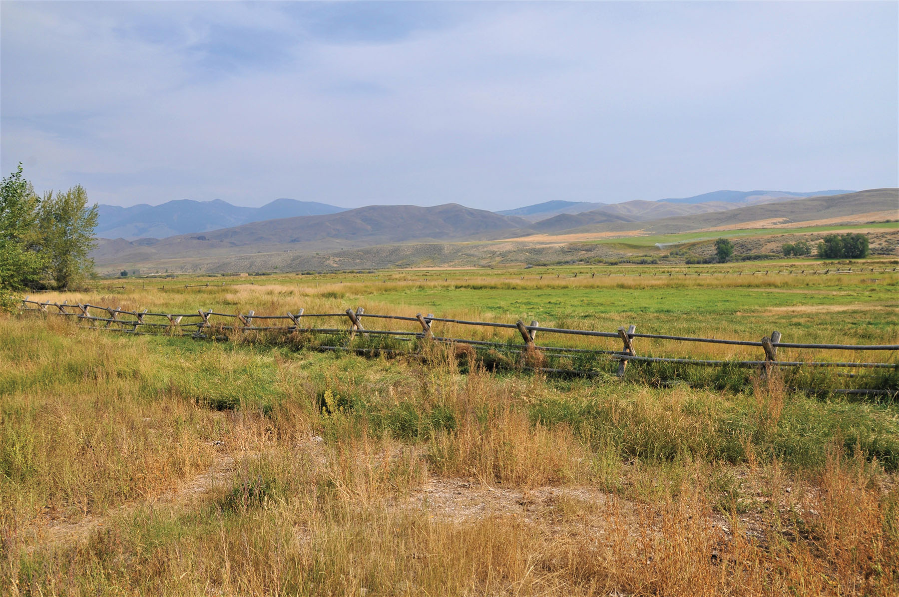 Muleshoe Ranch property picture 17 of 60