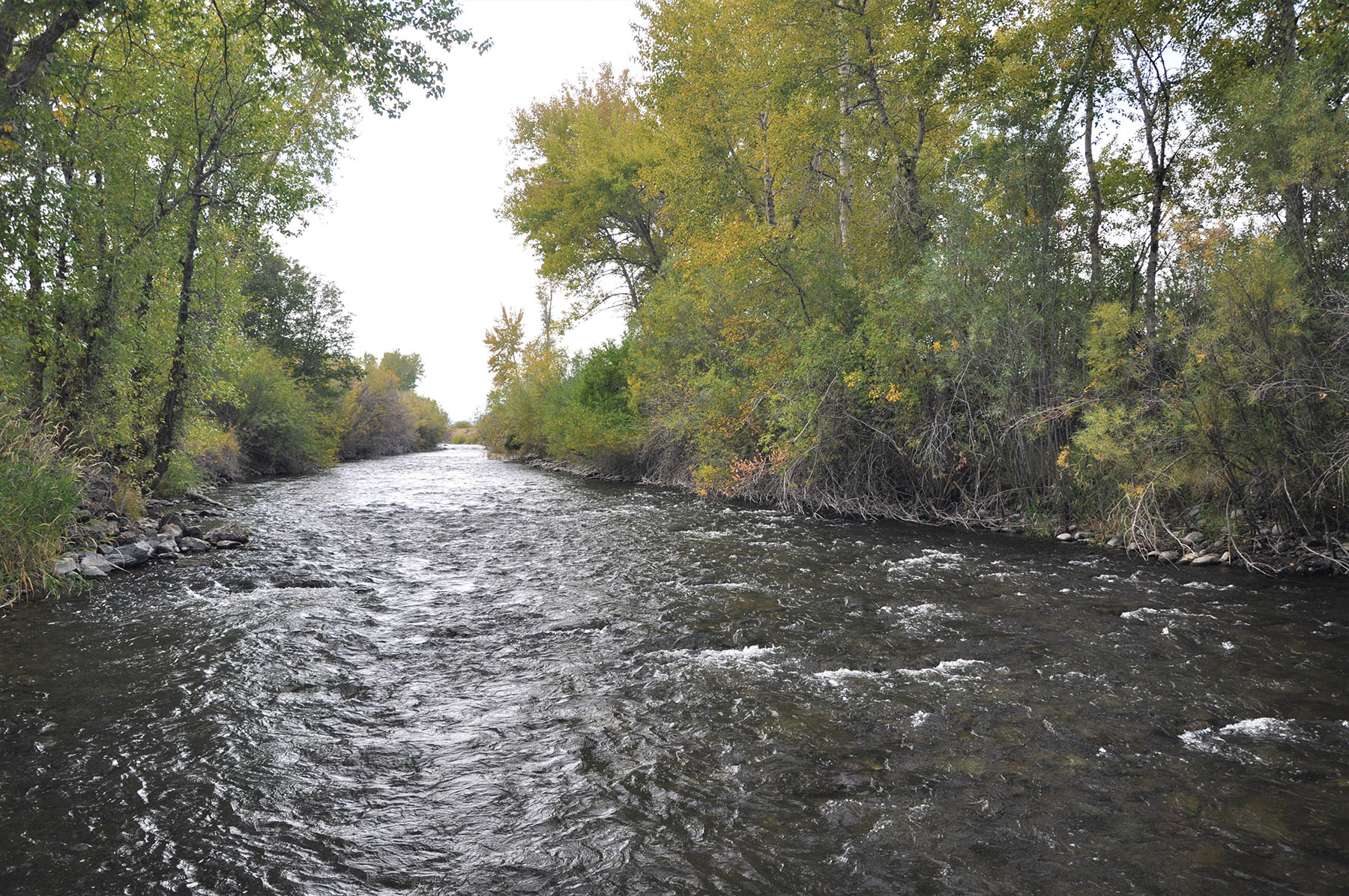 Muleshoe Ranch property picture 53 of 60