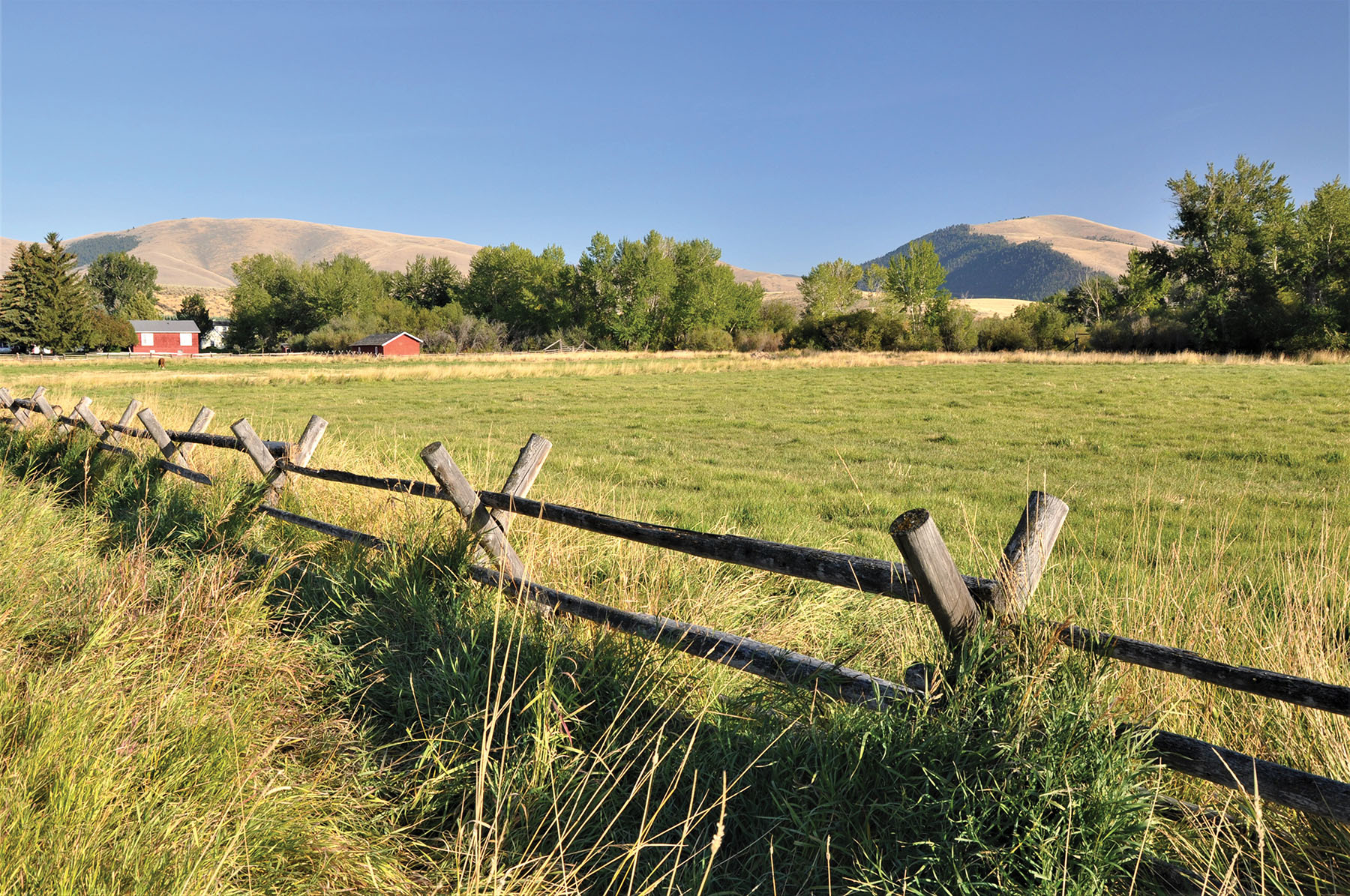 Muleshoe Ranch property picture 35 of 60