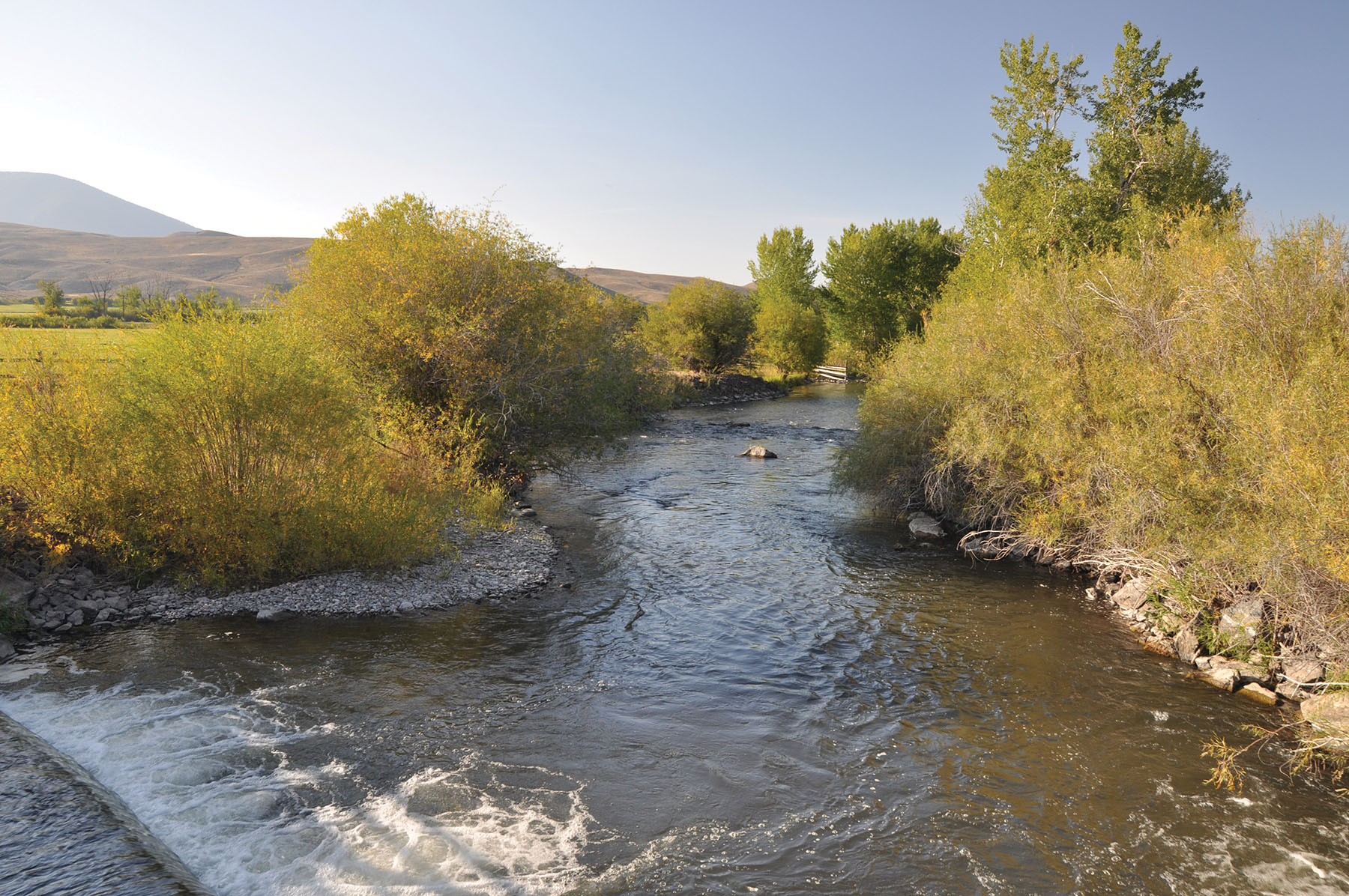 Muleshoe Ranch property picture 4 of 60